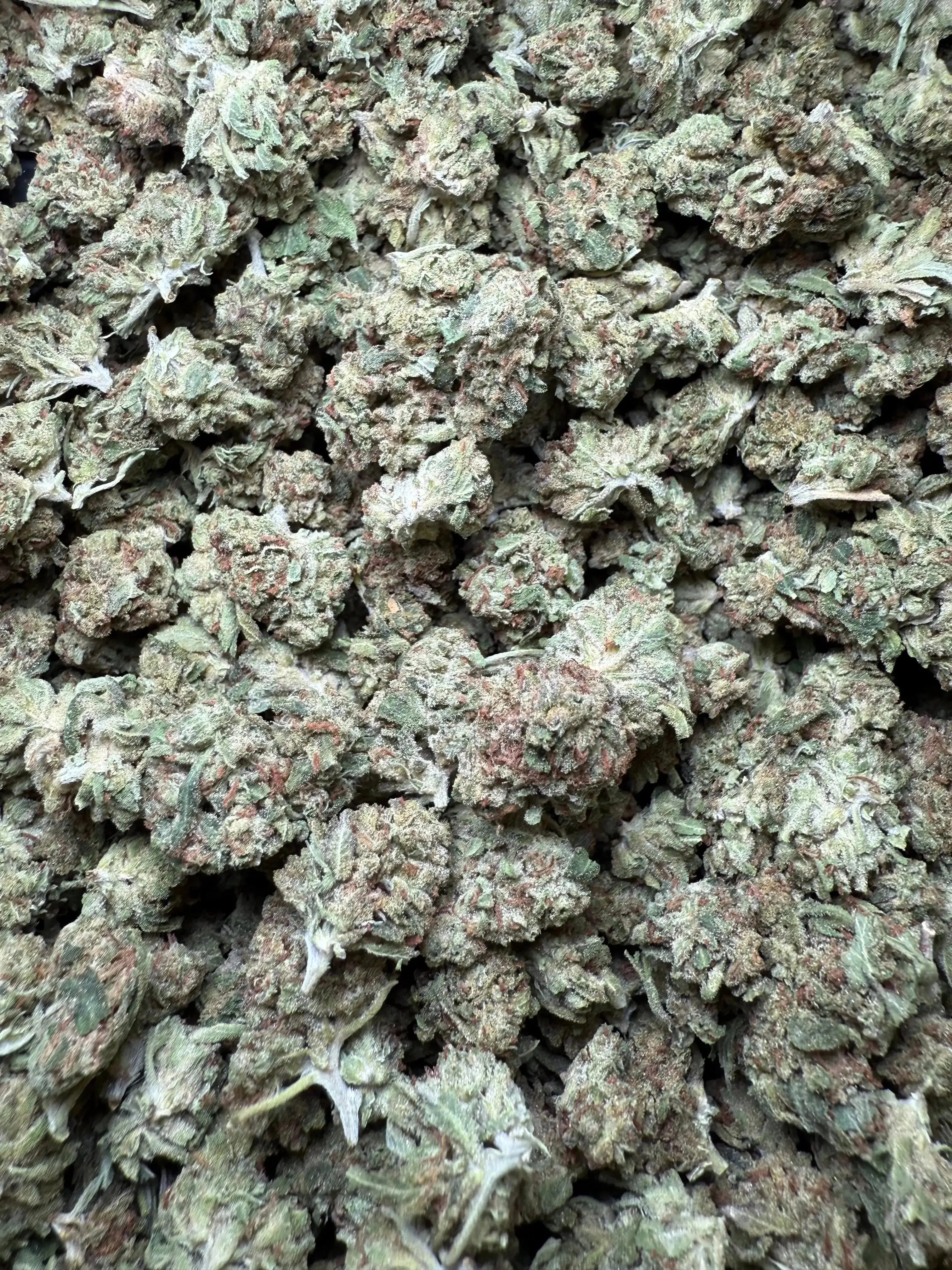 1/2 Pound Black Bananas THCA (Small) - Image 2