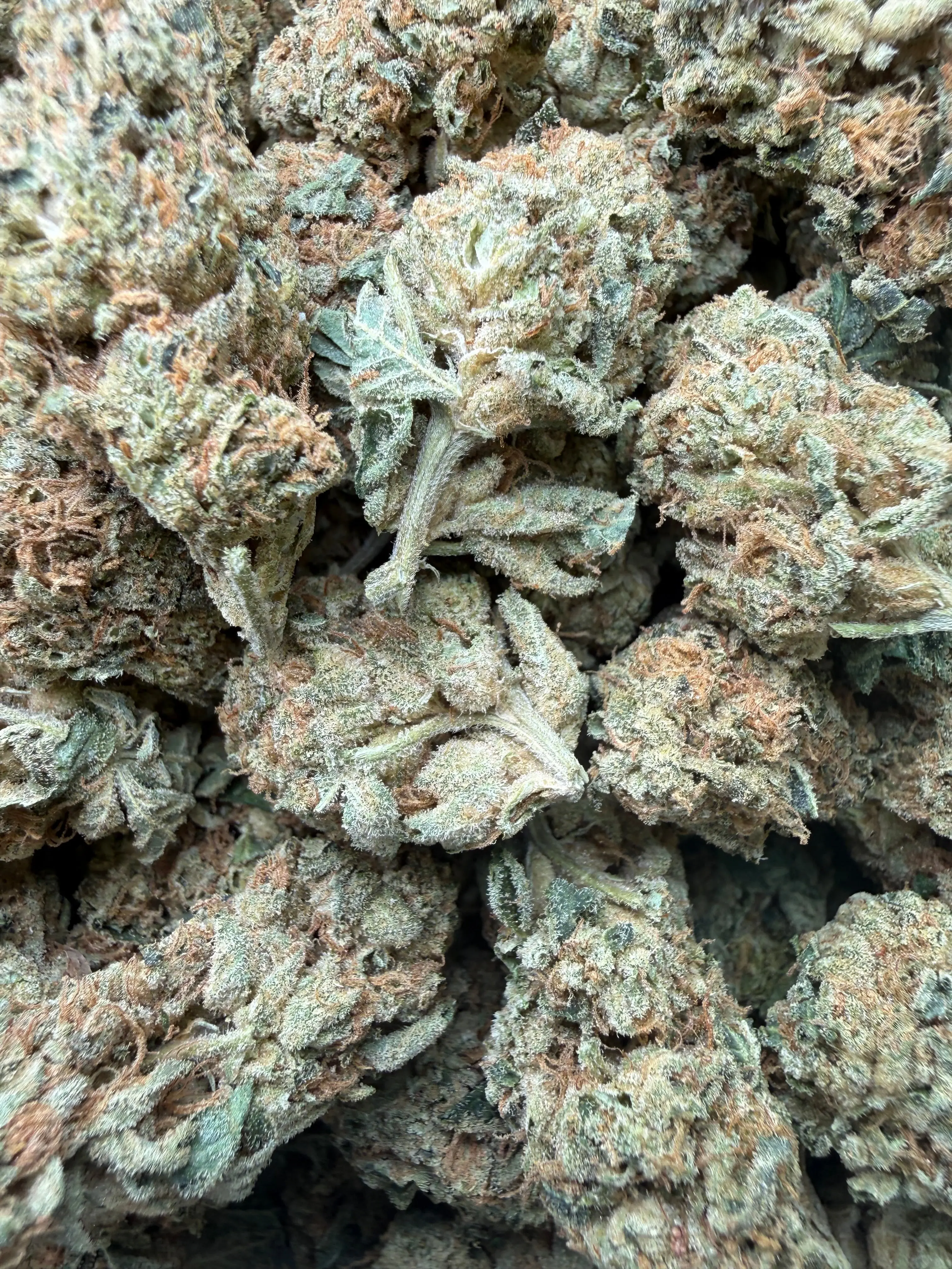 1/4 Pound Gorilla Glue THCA Flower - Image 4