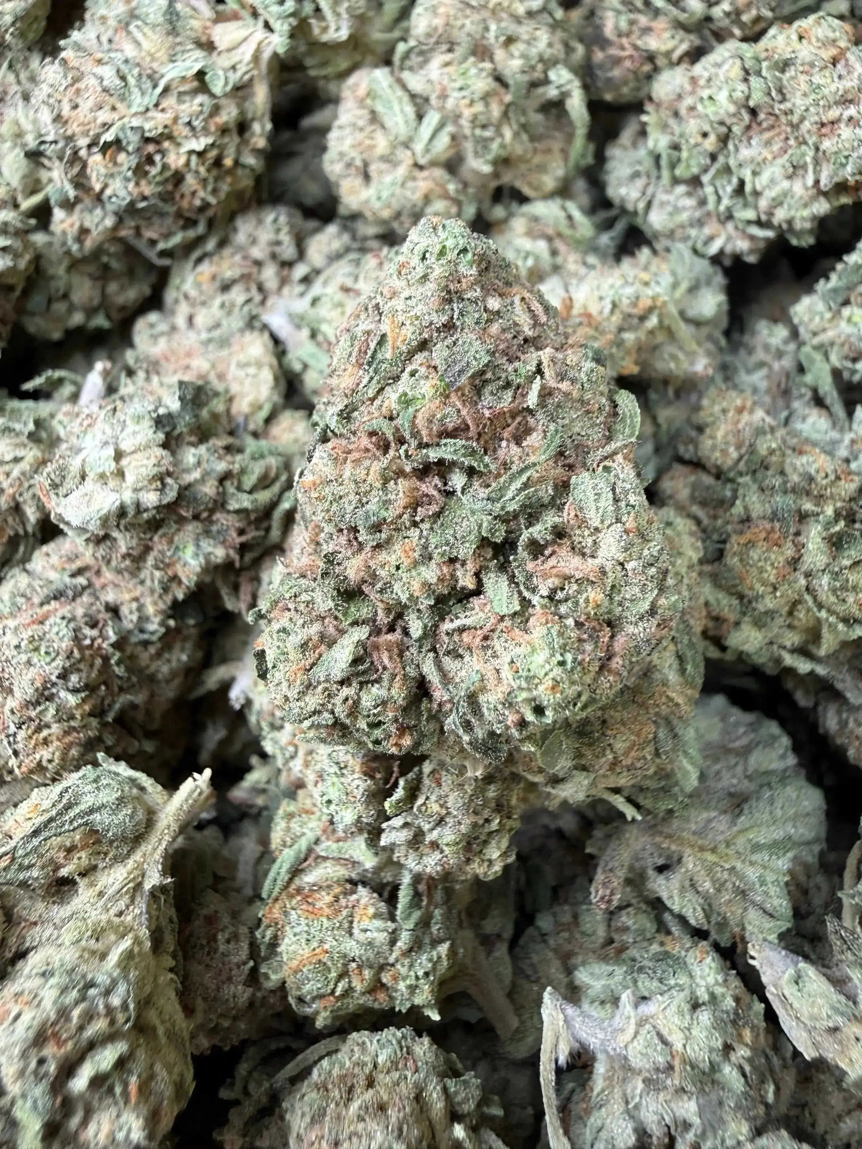 1/2 Pound -  Guava Gas Station Strain - Image 2