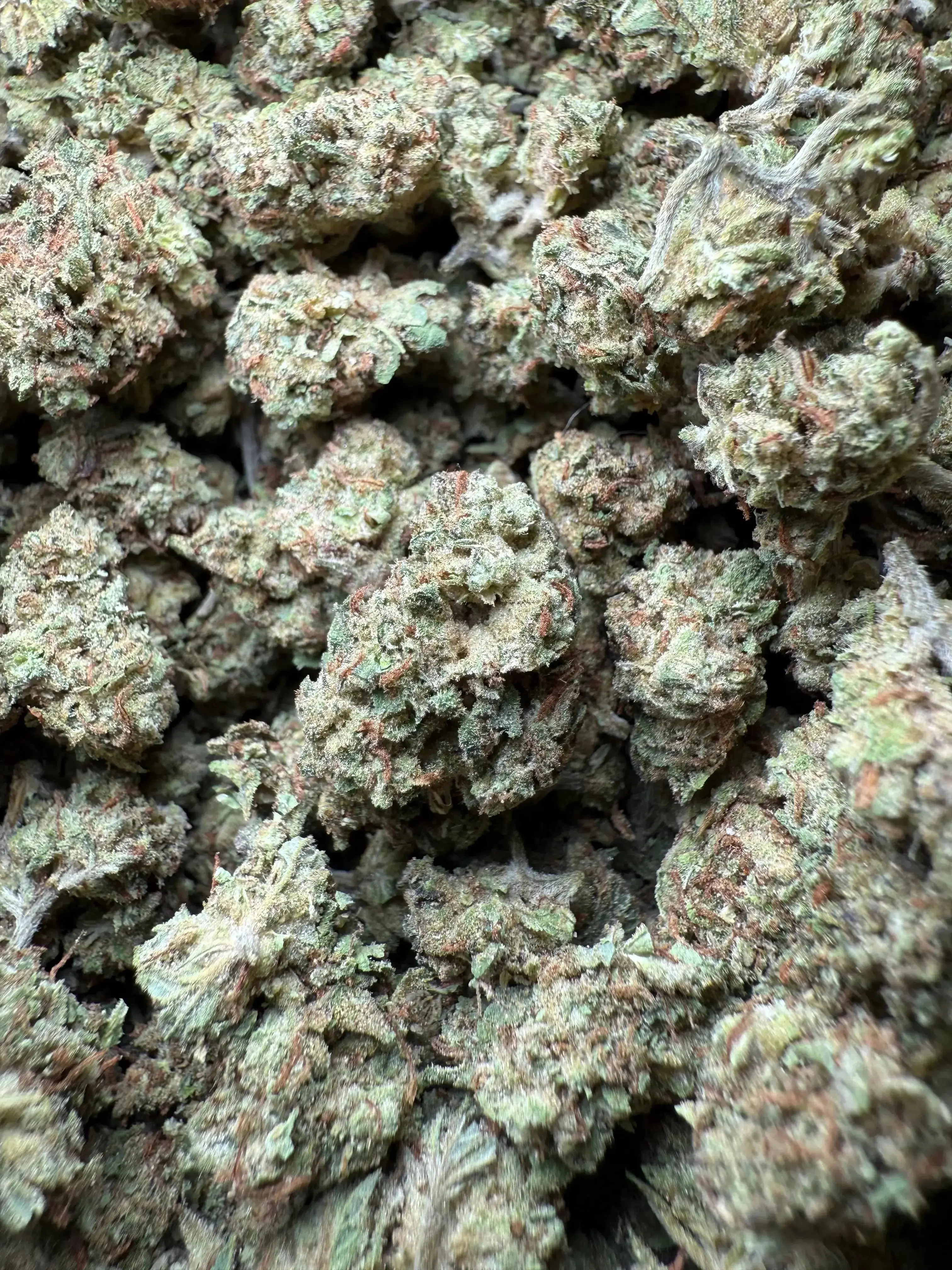 1/4 Pound Han Solo THCA (Smalls) - Image 2