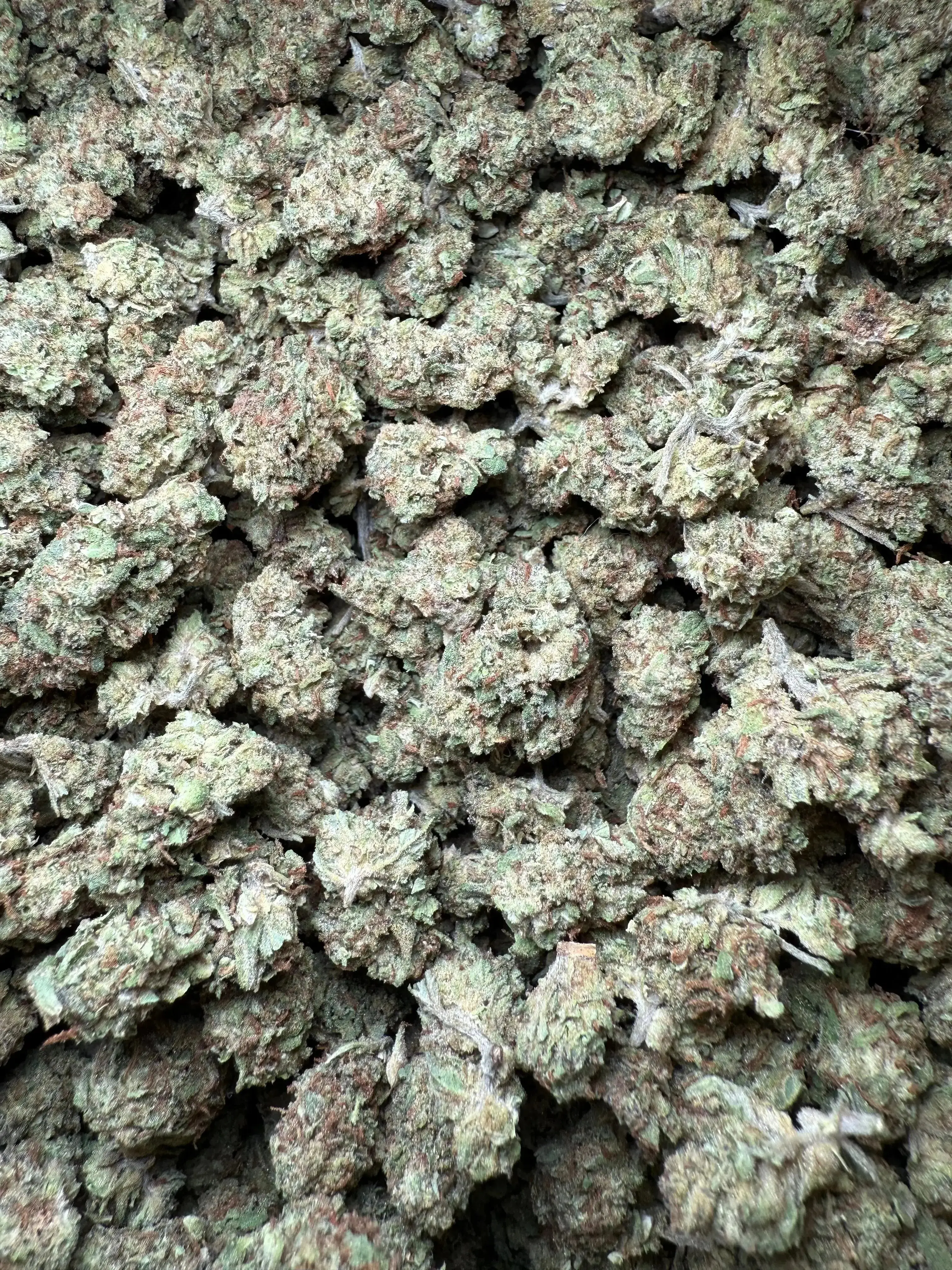 1/4 Pound Han Solo THCA (Smalls) - Image 3