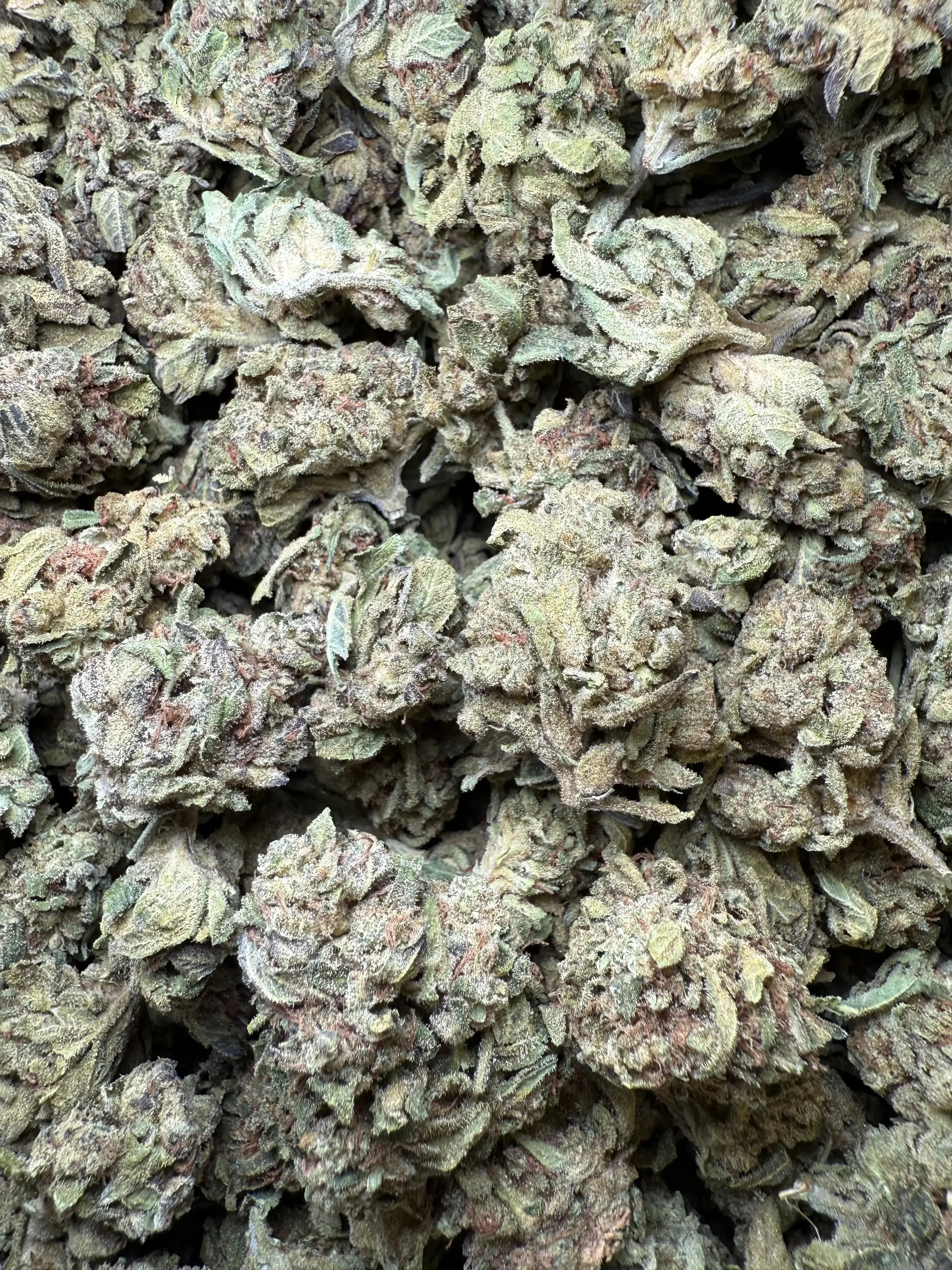 1/2 Pound - Lemon Cherry Gelato X Wedding Cake THCA - Image 2