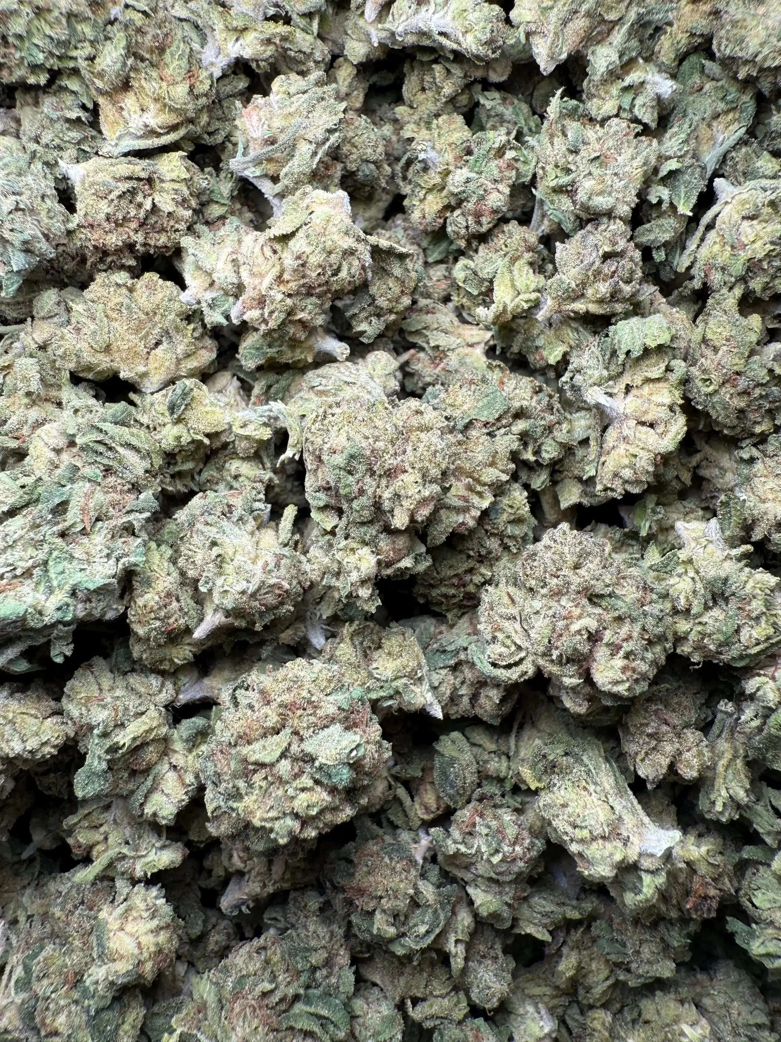 1/2 Pound Lemon Curd THCA (Smalls) - Image 2
