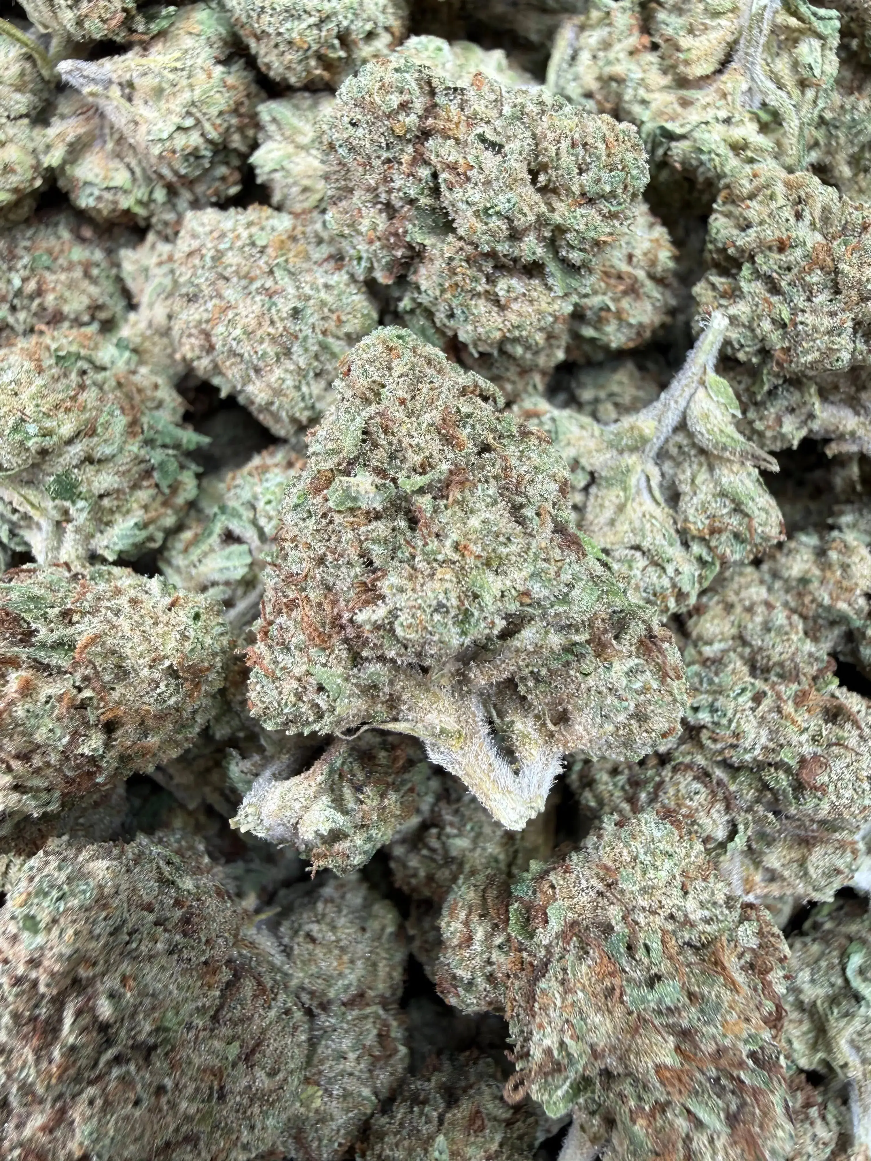 1/2 Pound - Permanent Marker THCA Strain - Image 3