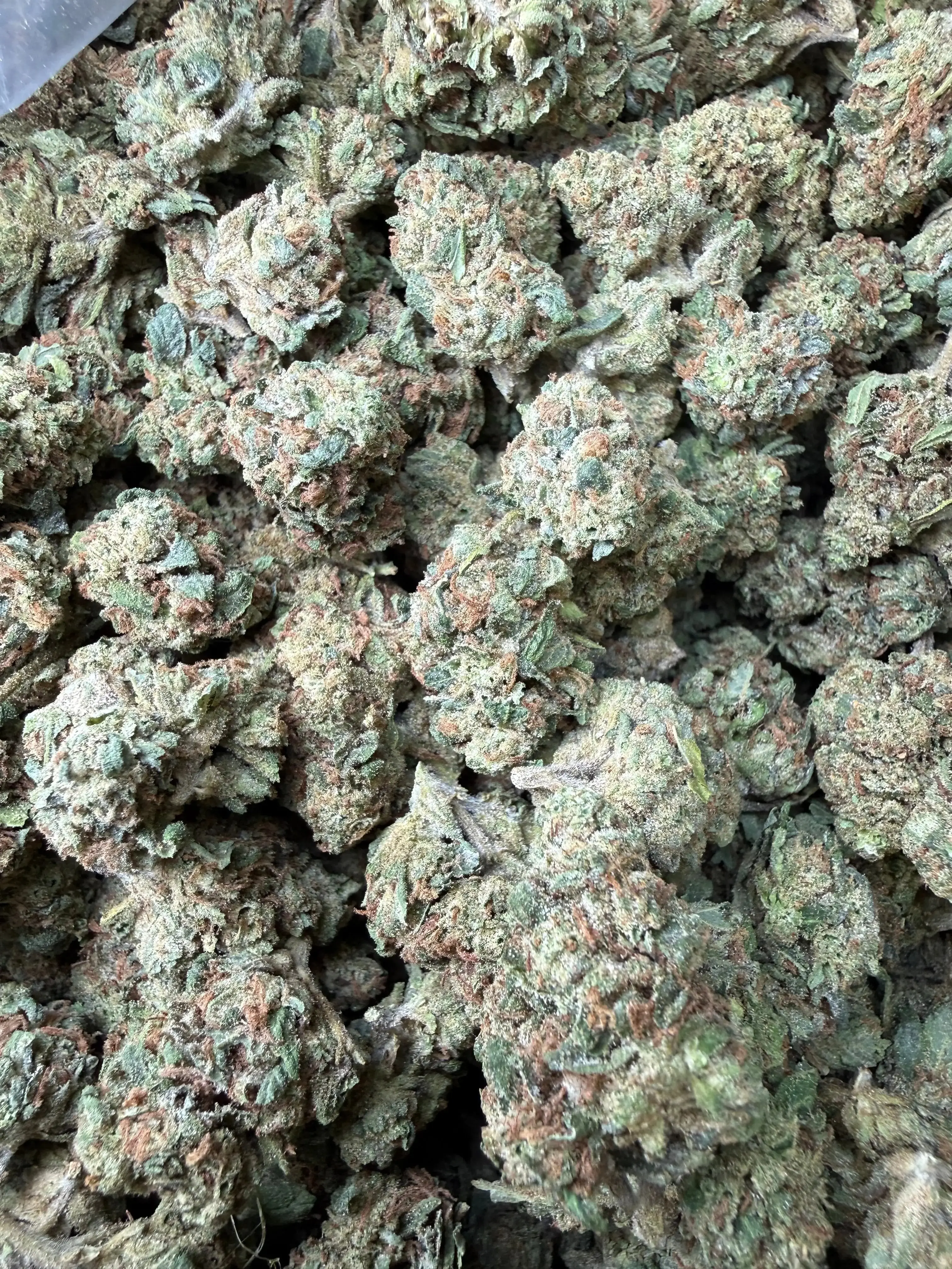 1/2 Pound -  Super Wu Tang OG Strain - Image 3