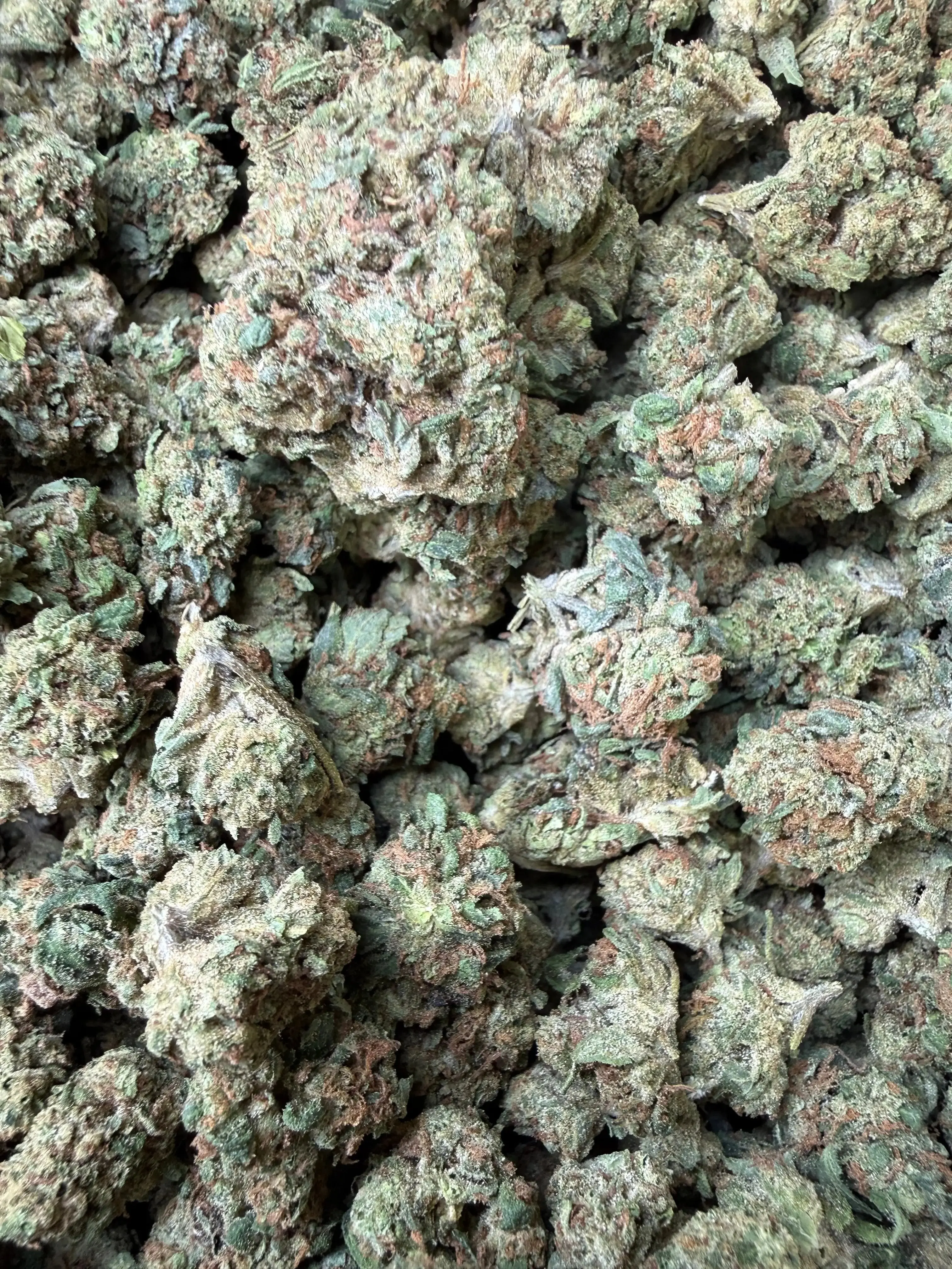1/2 Pound -  Super Wu Tang OG Strain - Image 4