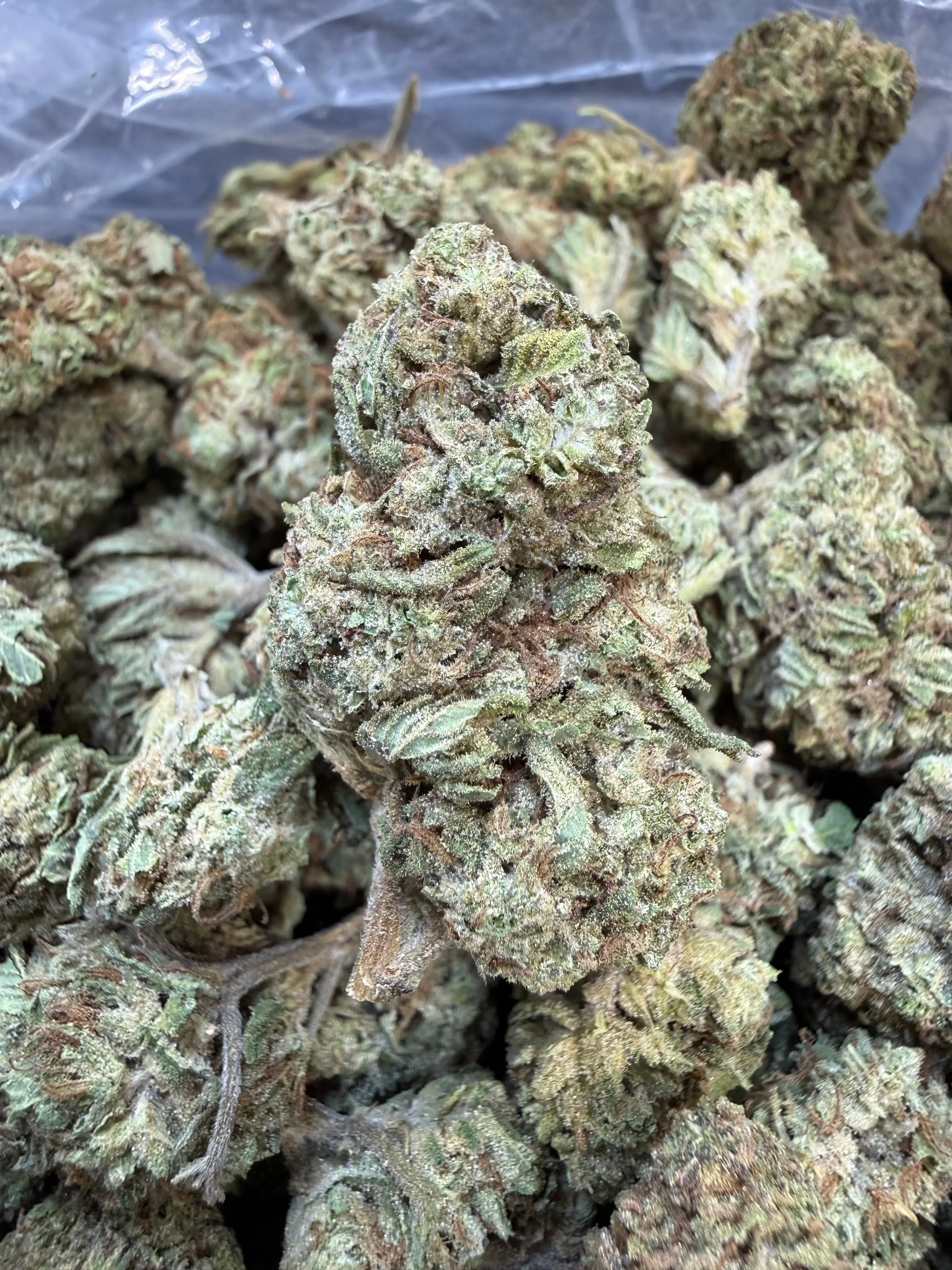 1 Oz - Double Burger THCA Flower - Image 4