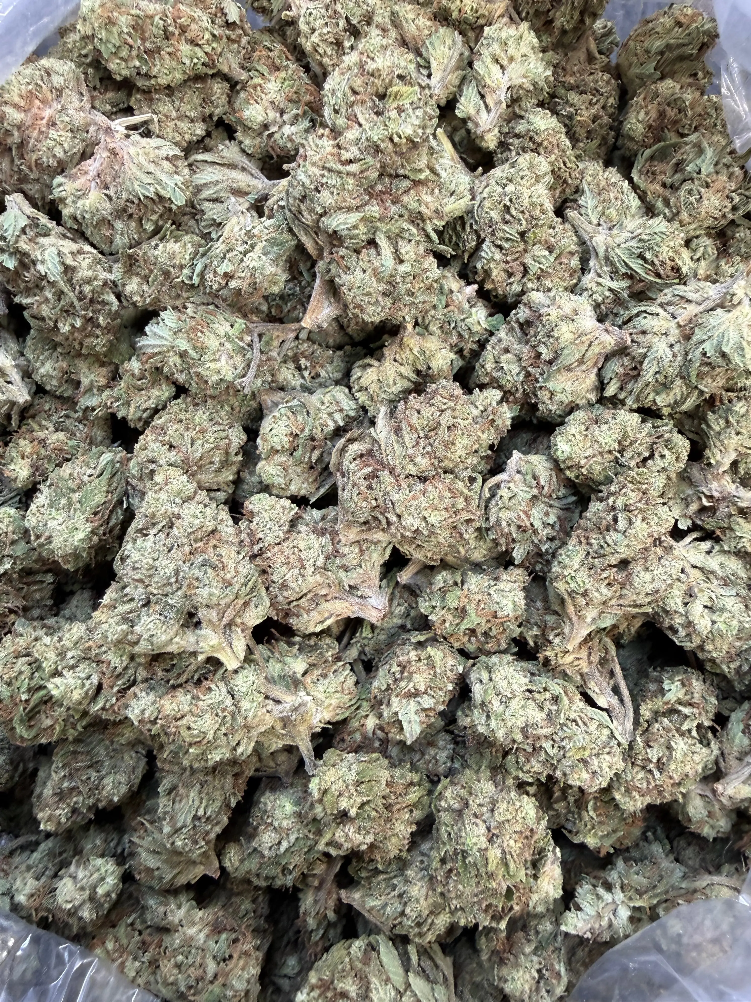 1 Oz - Double Burger THCA Flower - Image 5