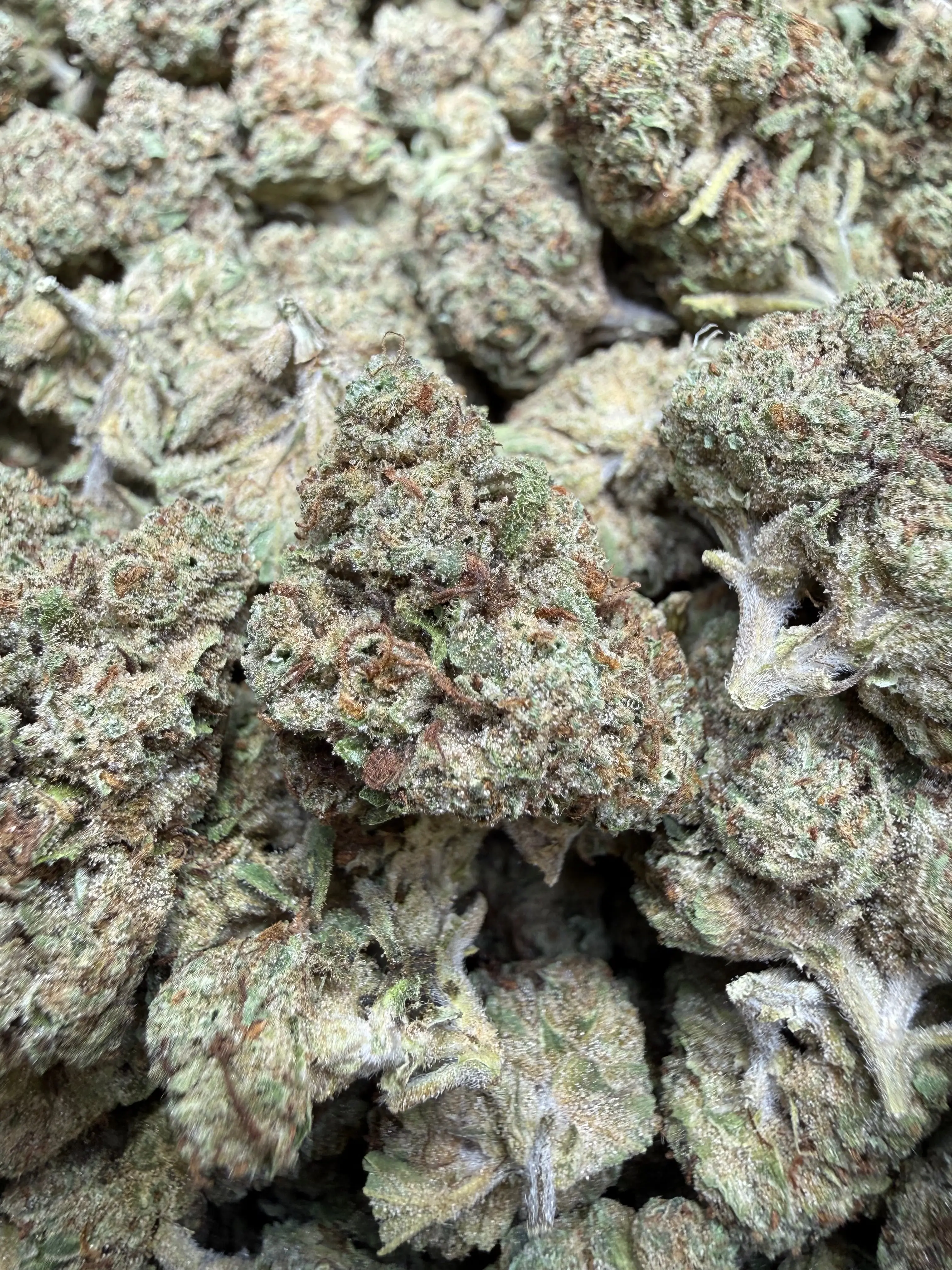 1/2 Oz - Permanent Chimera THCA Flower - Image 3