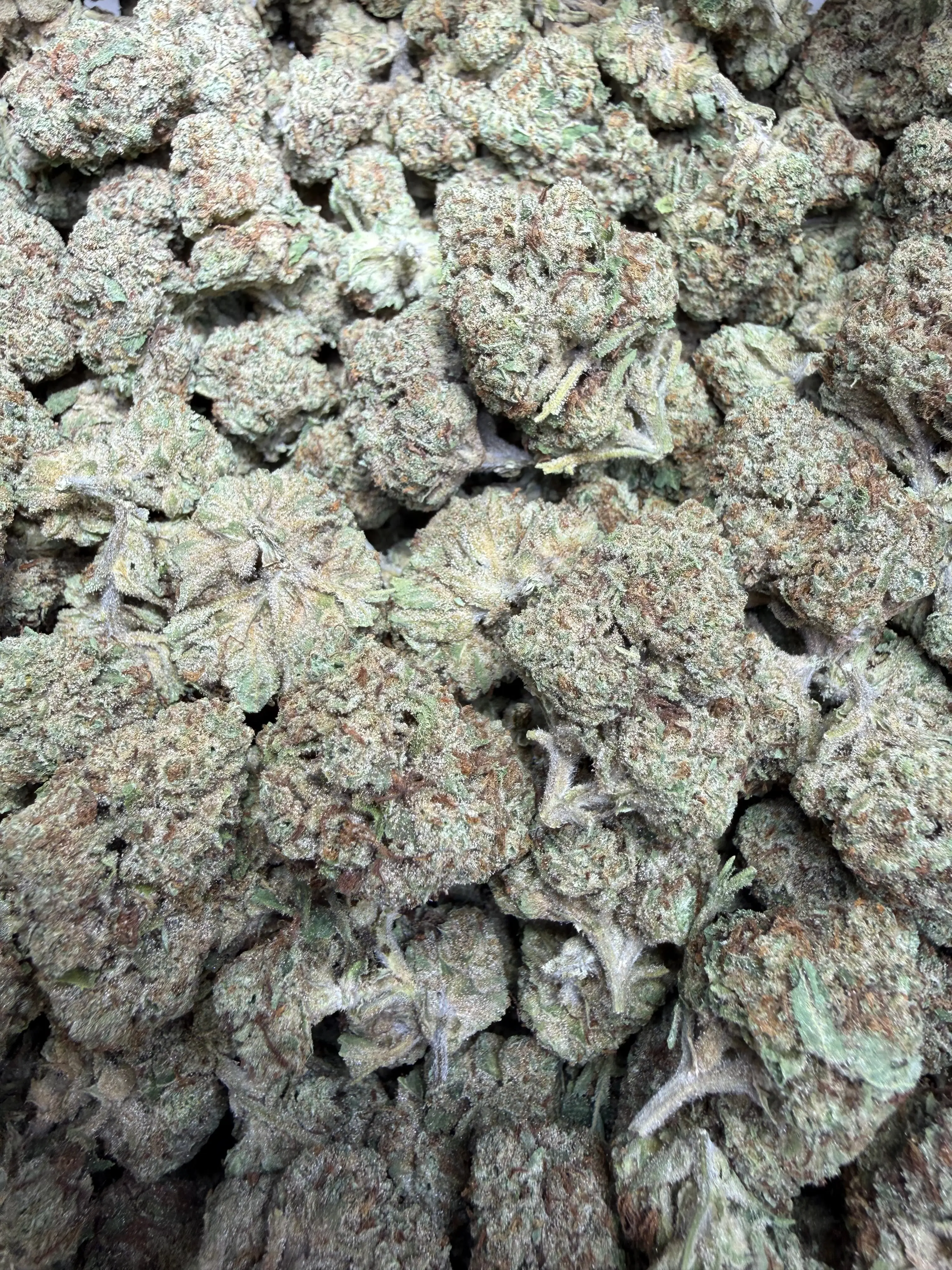 1/2 Oz - Permanent Chimera THCA Flower - Image 4