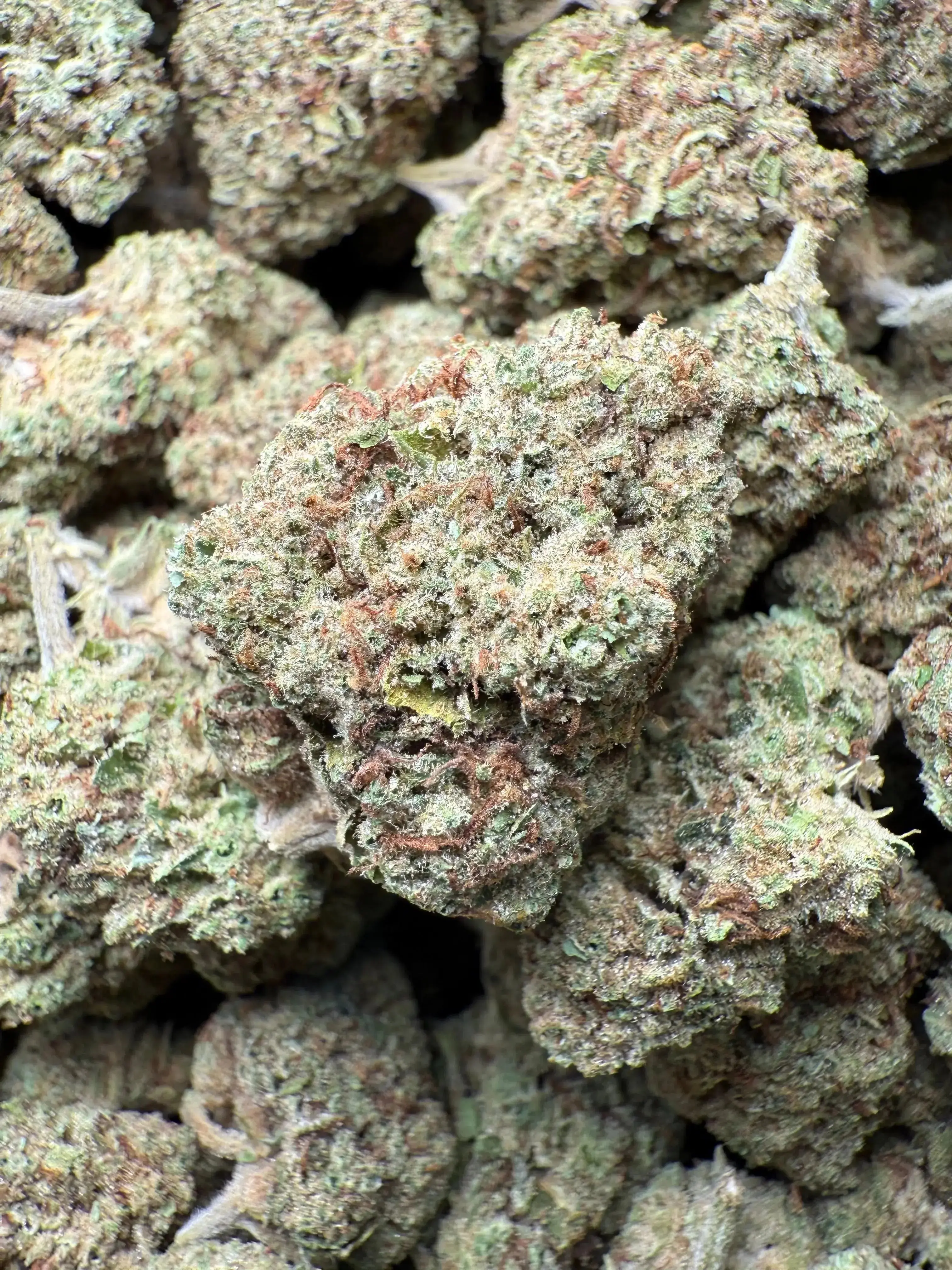 1/4 Pound Black Widow THCA - Image 2