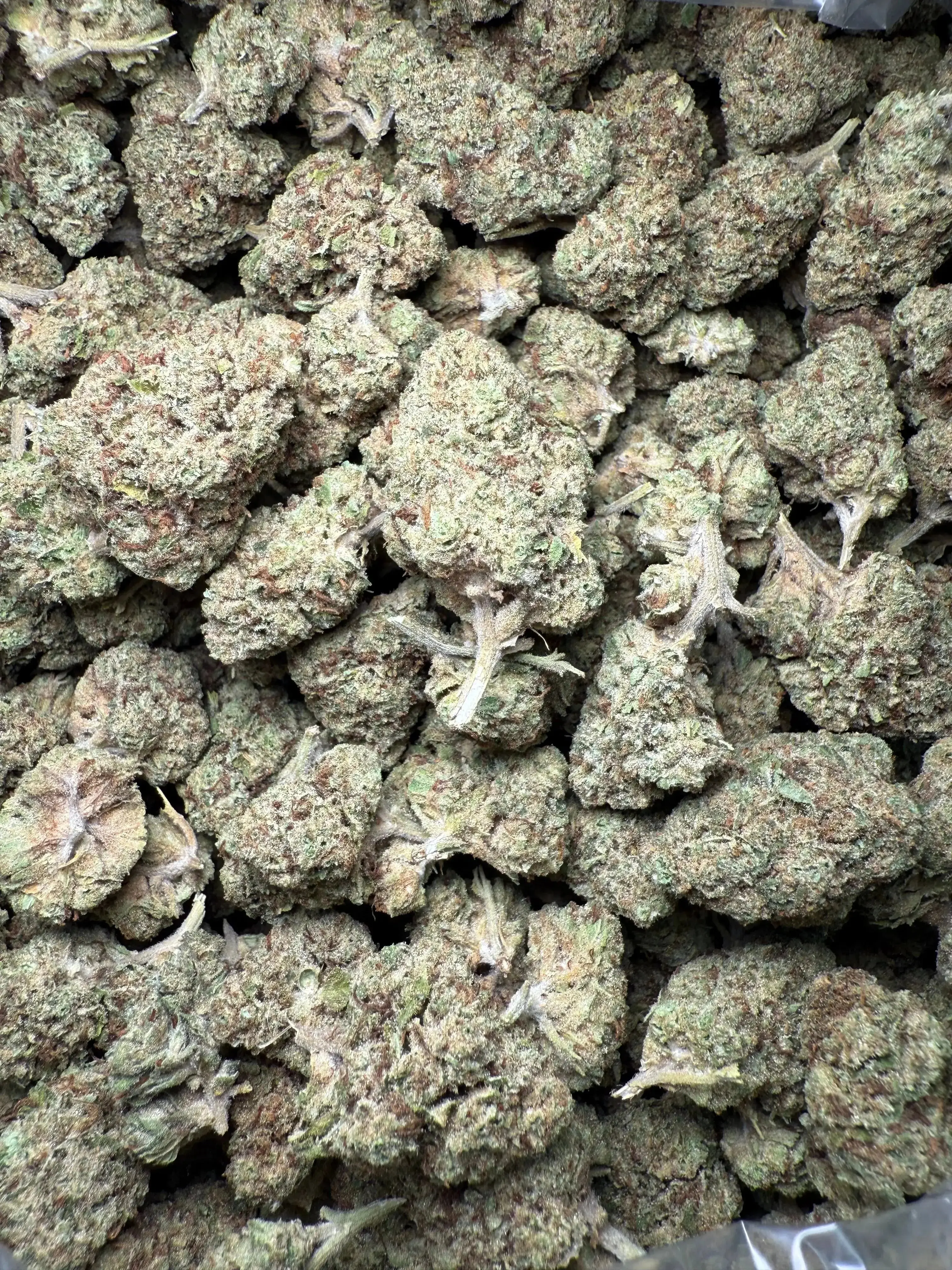1/4 Pound Black Widow THCA - Image 3