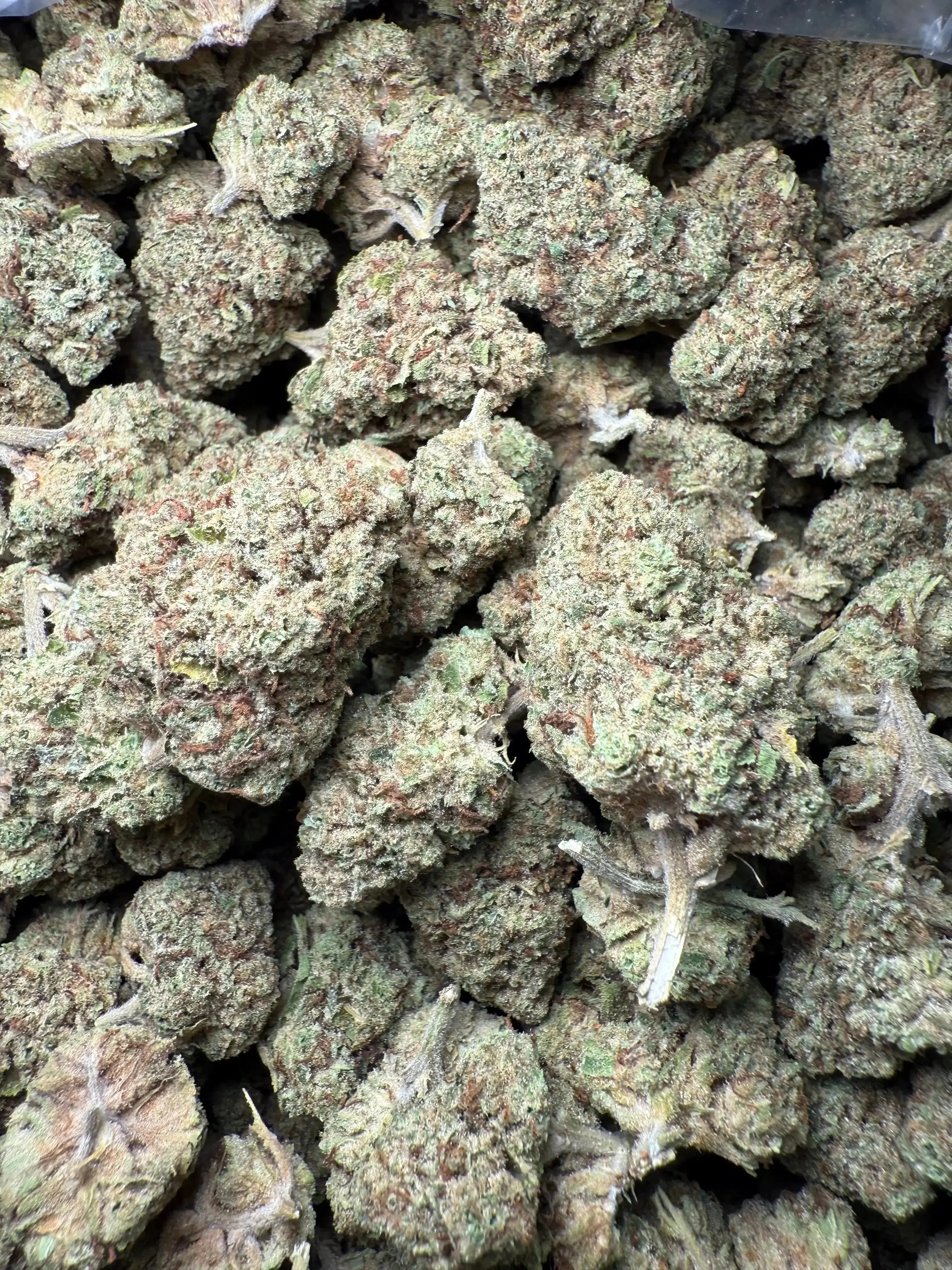1/4 Pound Black Widow THCA - Image 4
