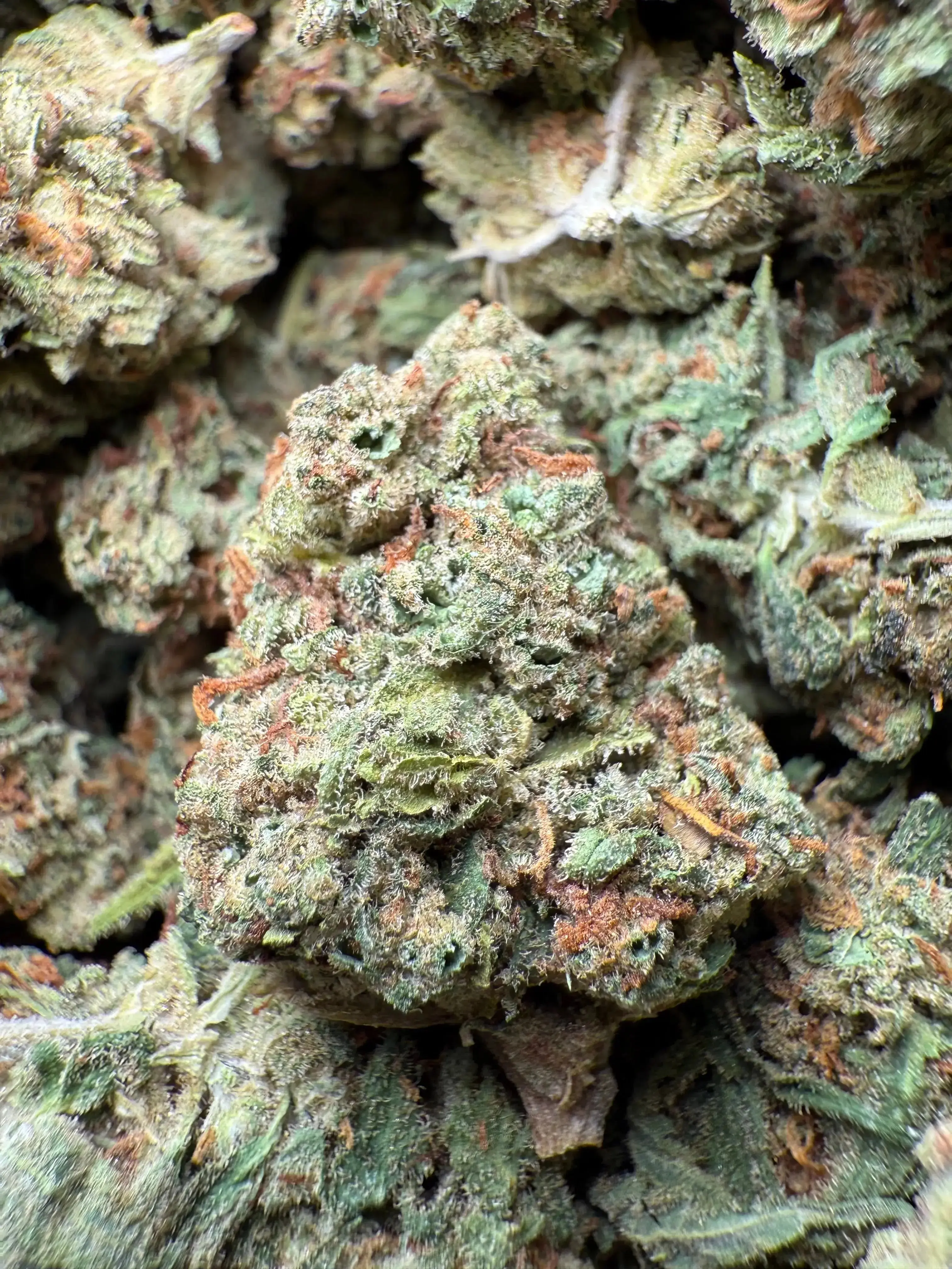 1/4 Pound Bubble Yum THCA - Image 2