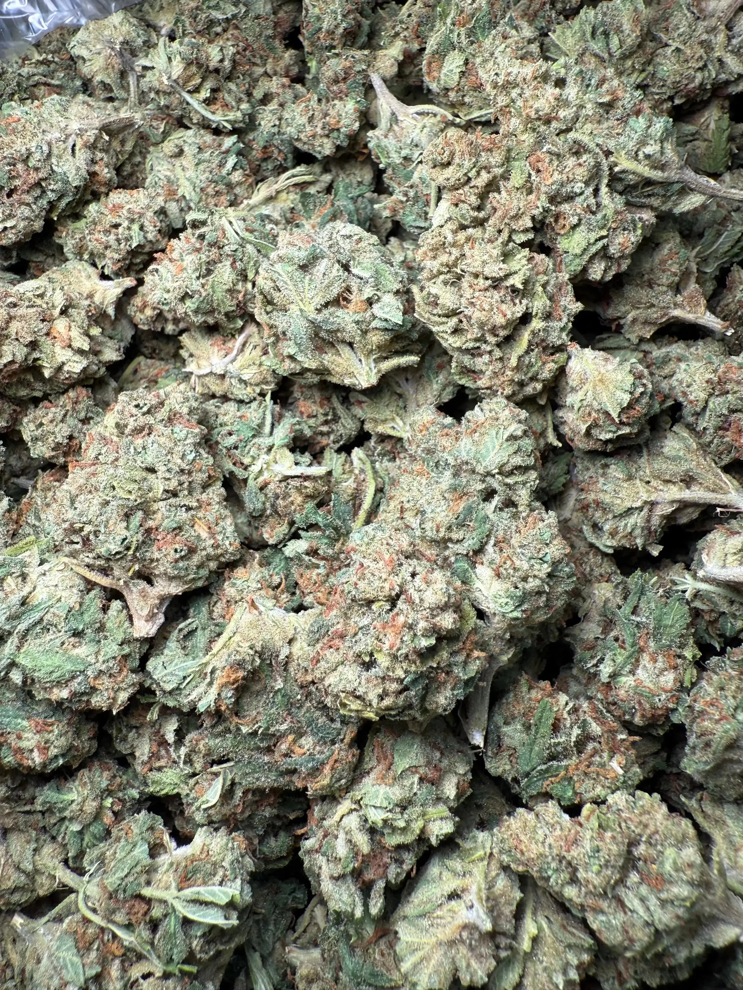 1/4 Pound Bubble Yum THCA - Image 3