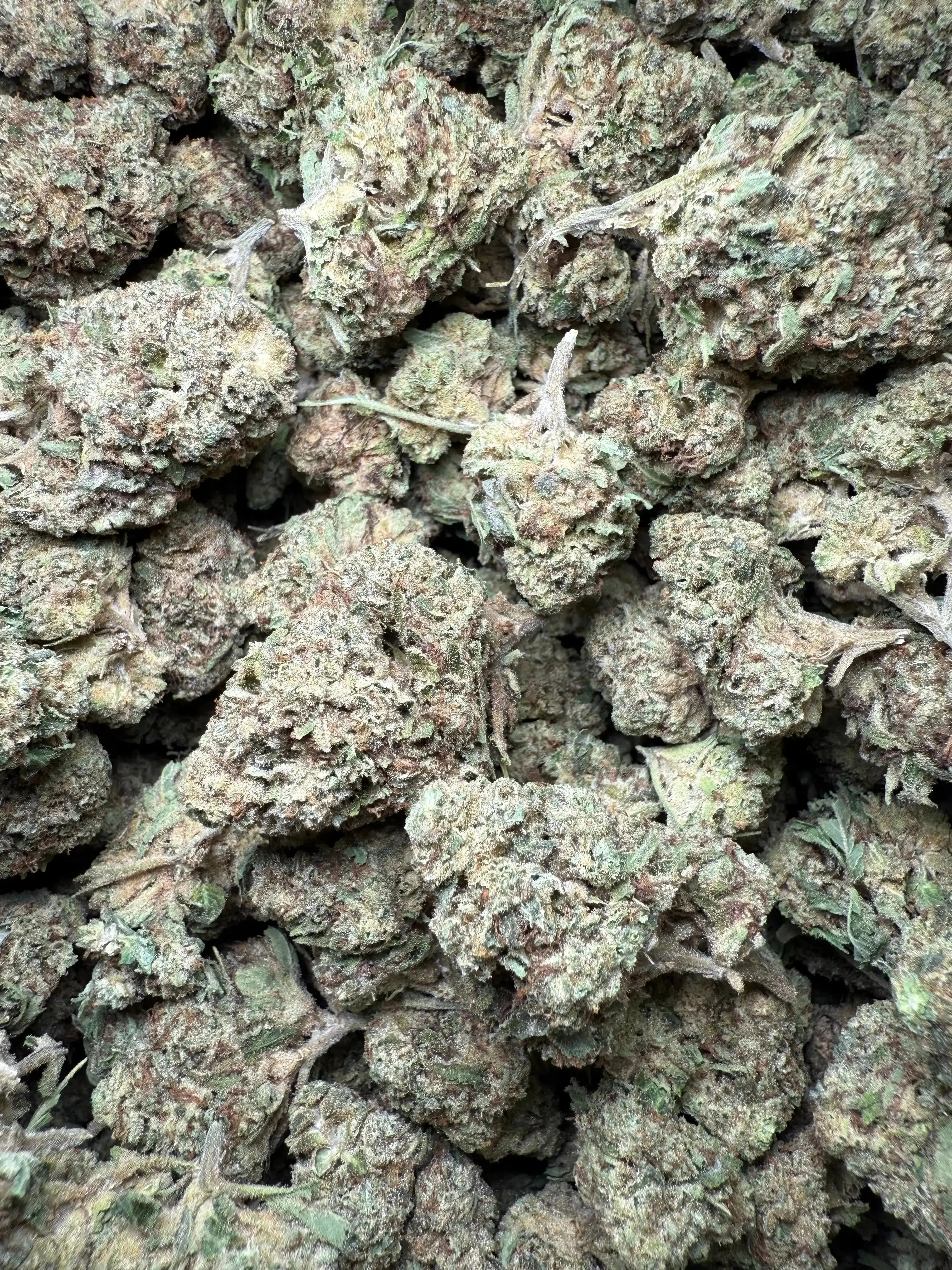 1 Pound Chocolate Kush THCA - Image 2
