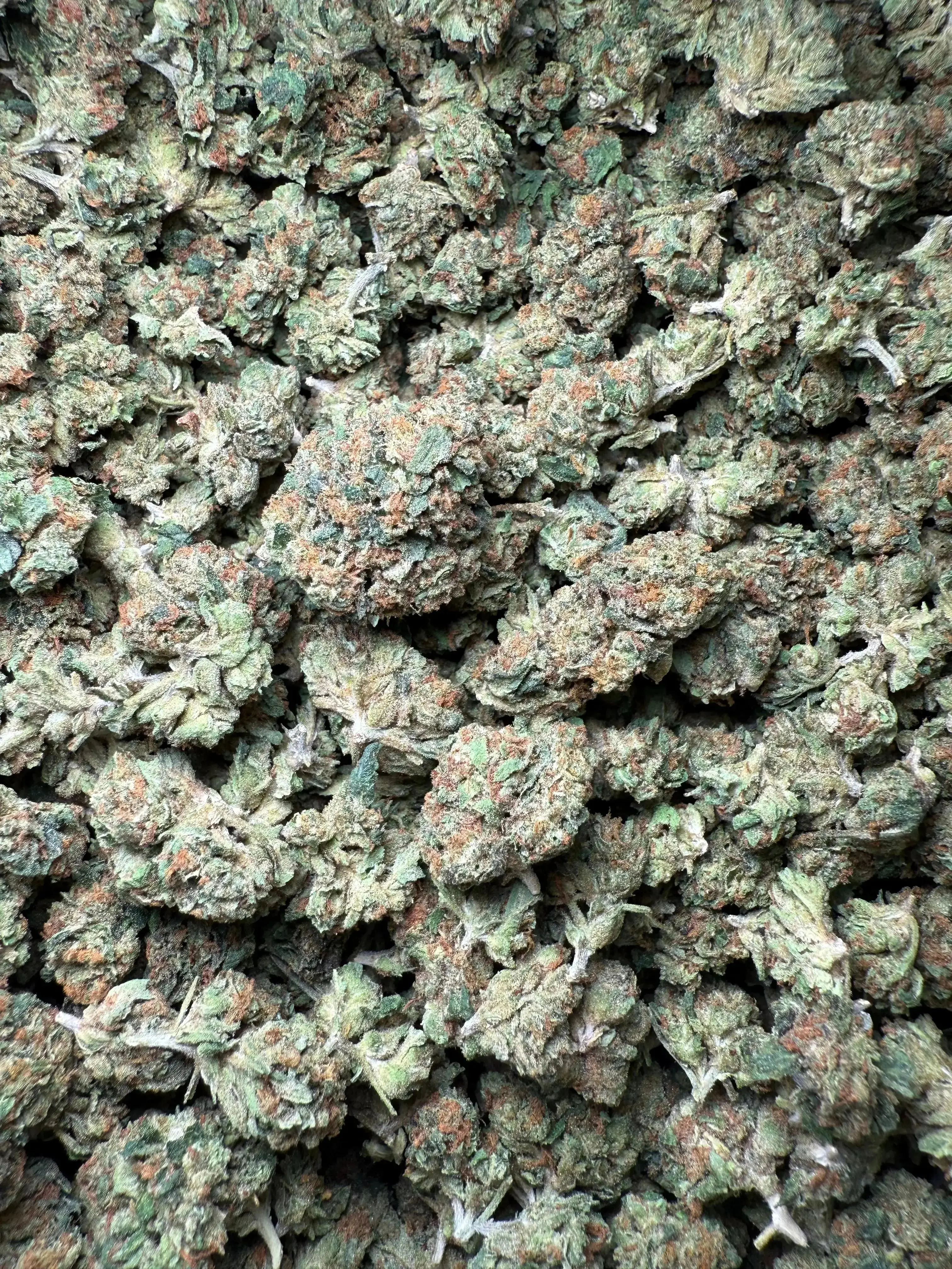 1/2 Pound El Chapo OG THCA (Small) - Image 2