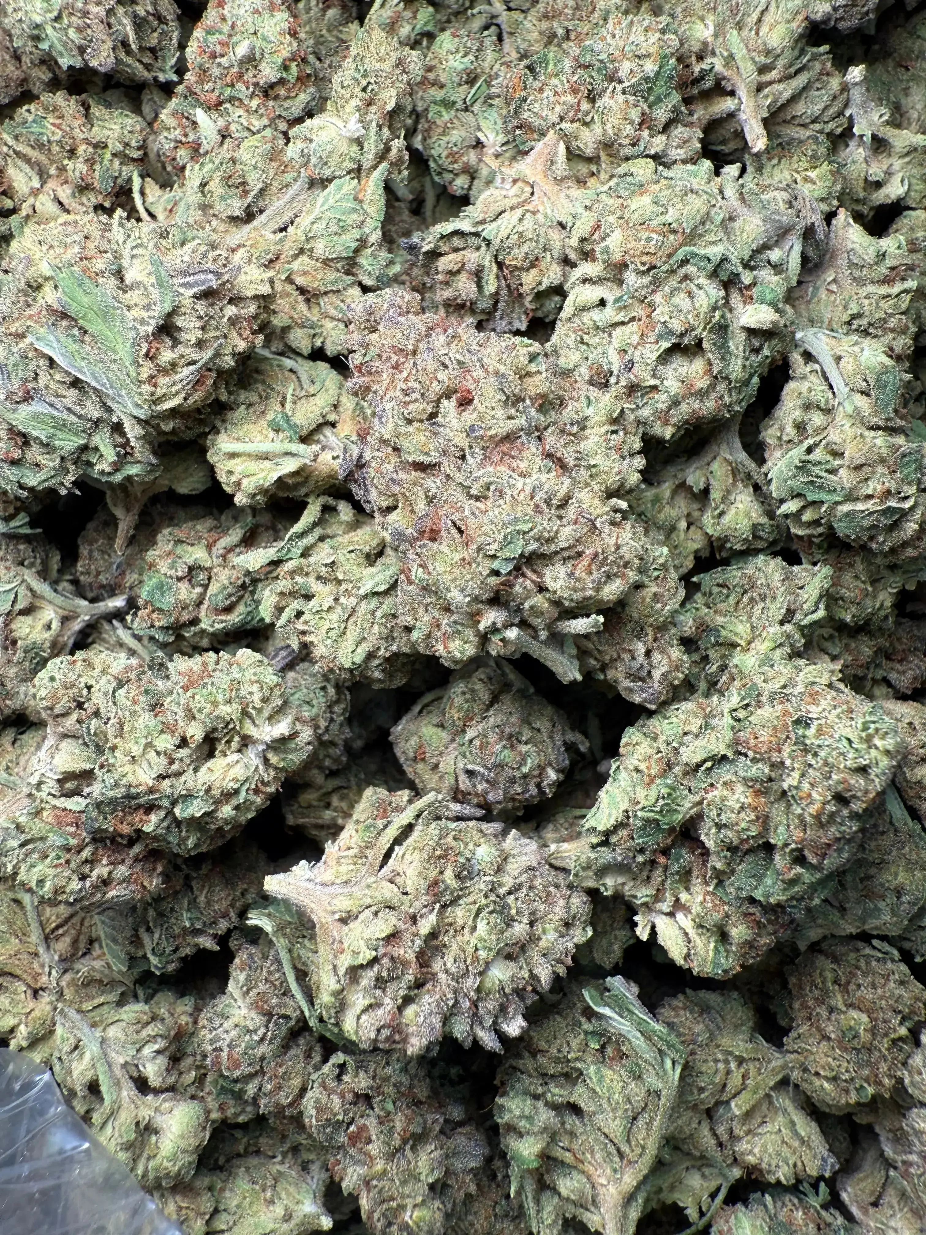 1/2 Pound Exotic Colour THCA - Image 2