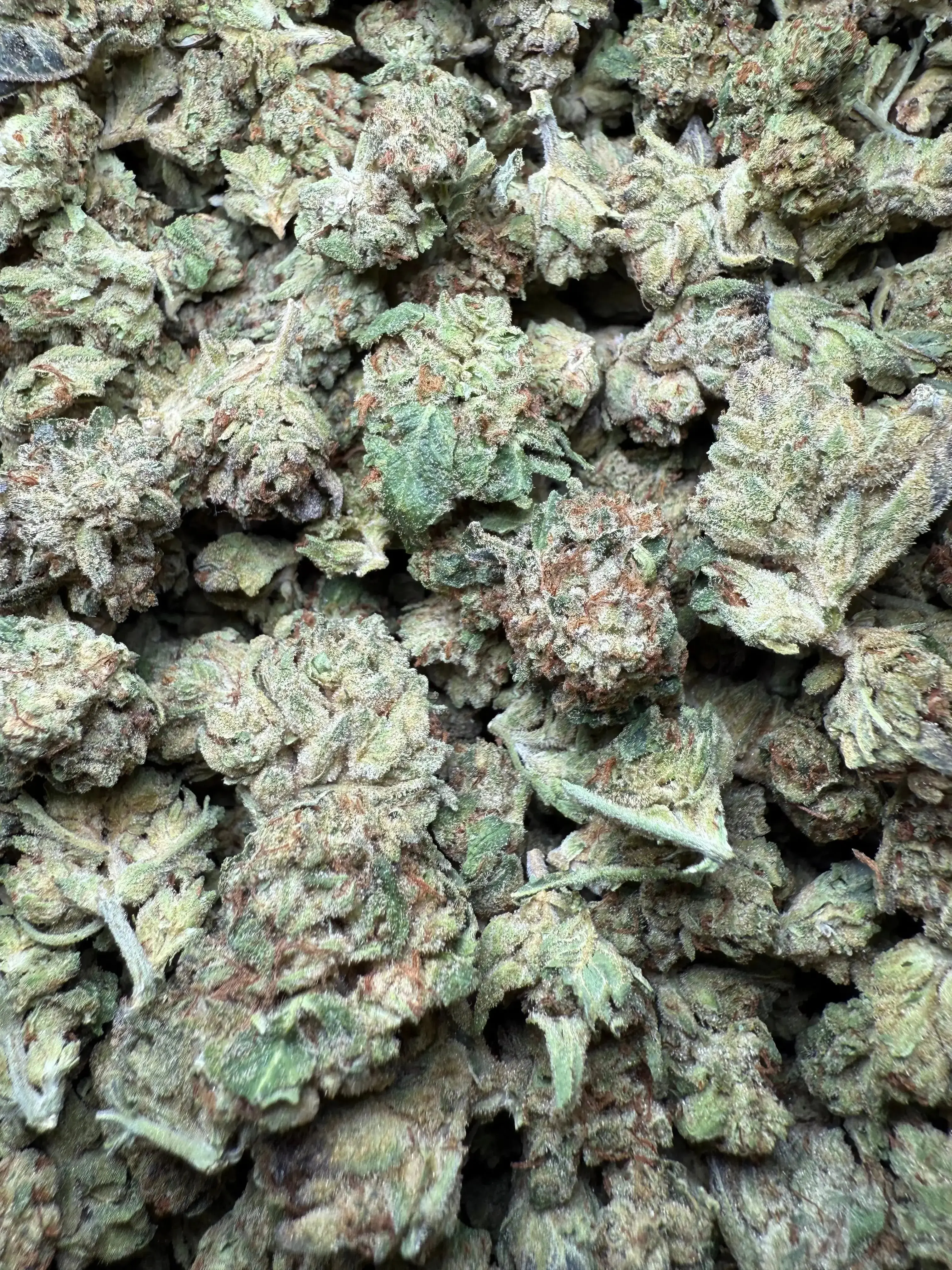1 Pound Exotic Colour THCA (Small) - Image 3