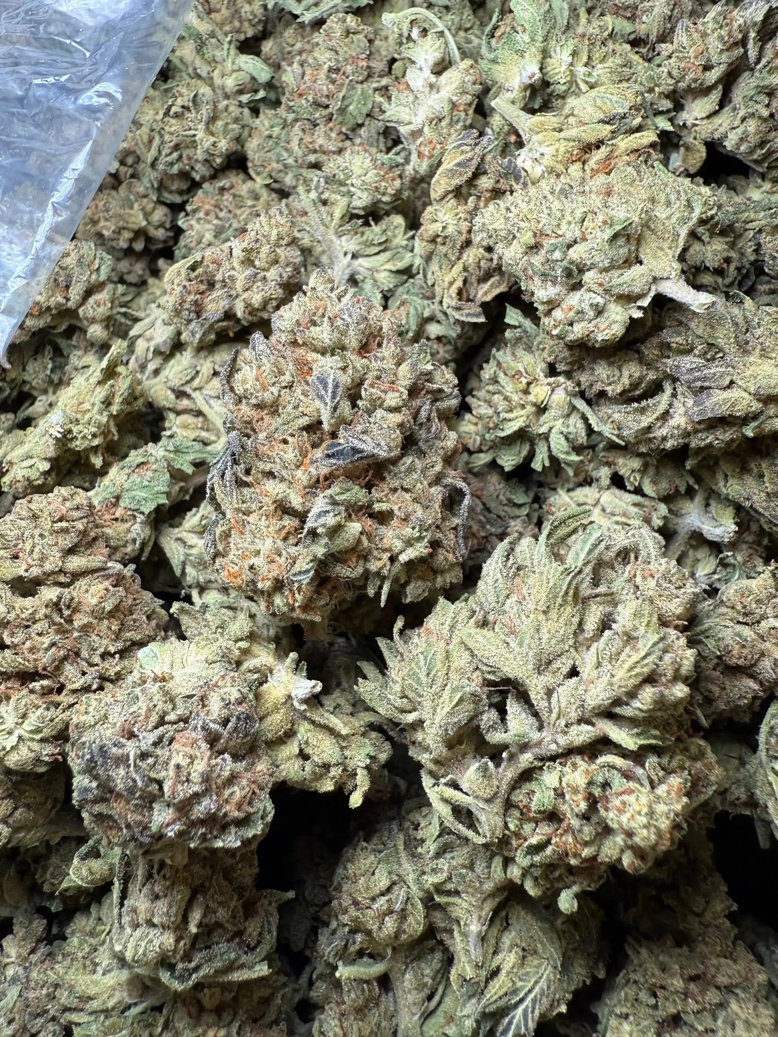 1 Pound Fat Boy OG THCA - Image 2