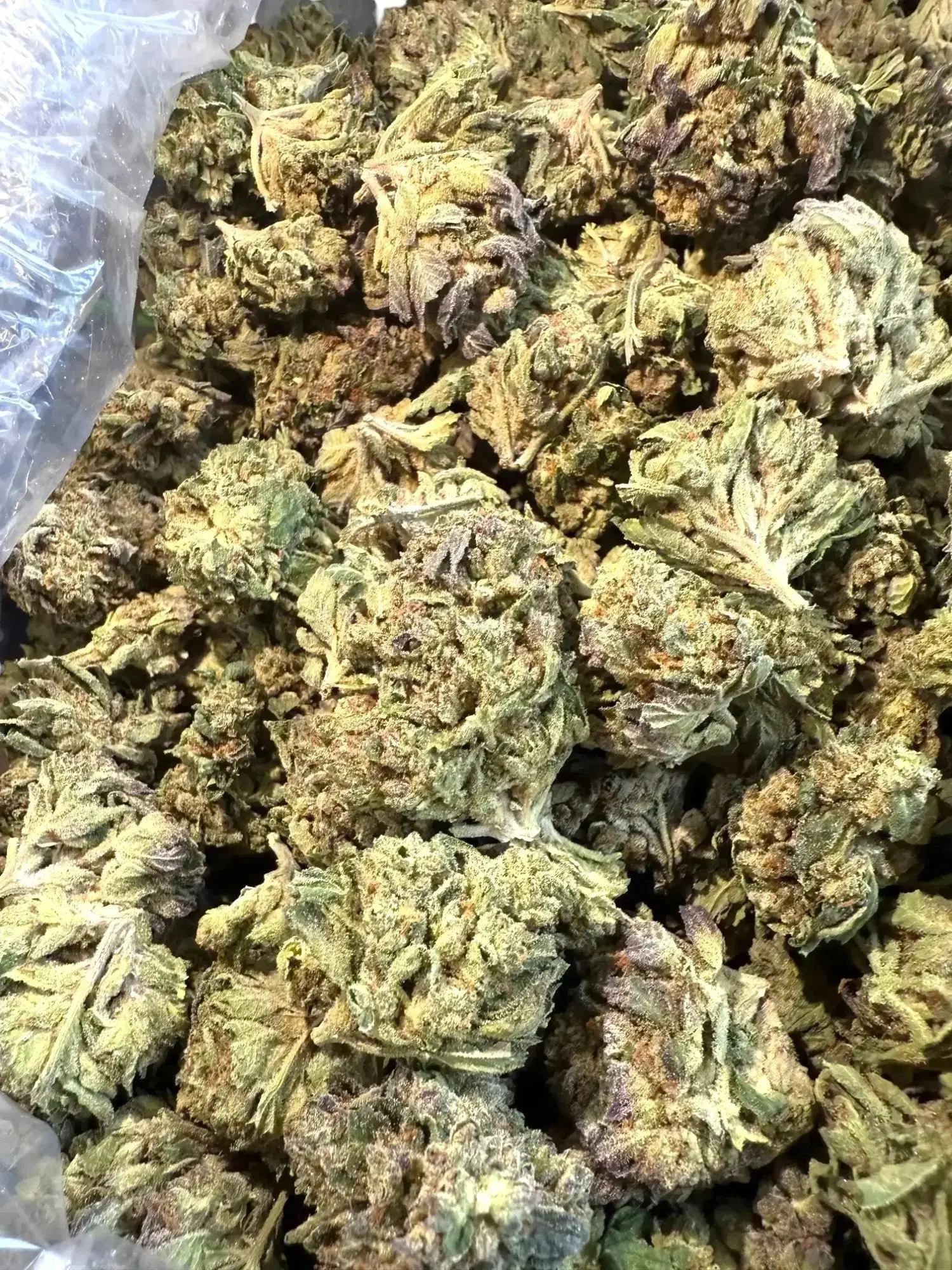 1/4 Pound GTI Blue THCA - Image 2