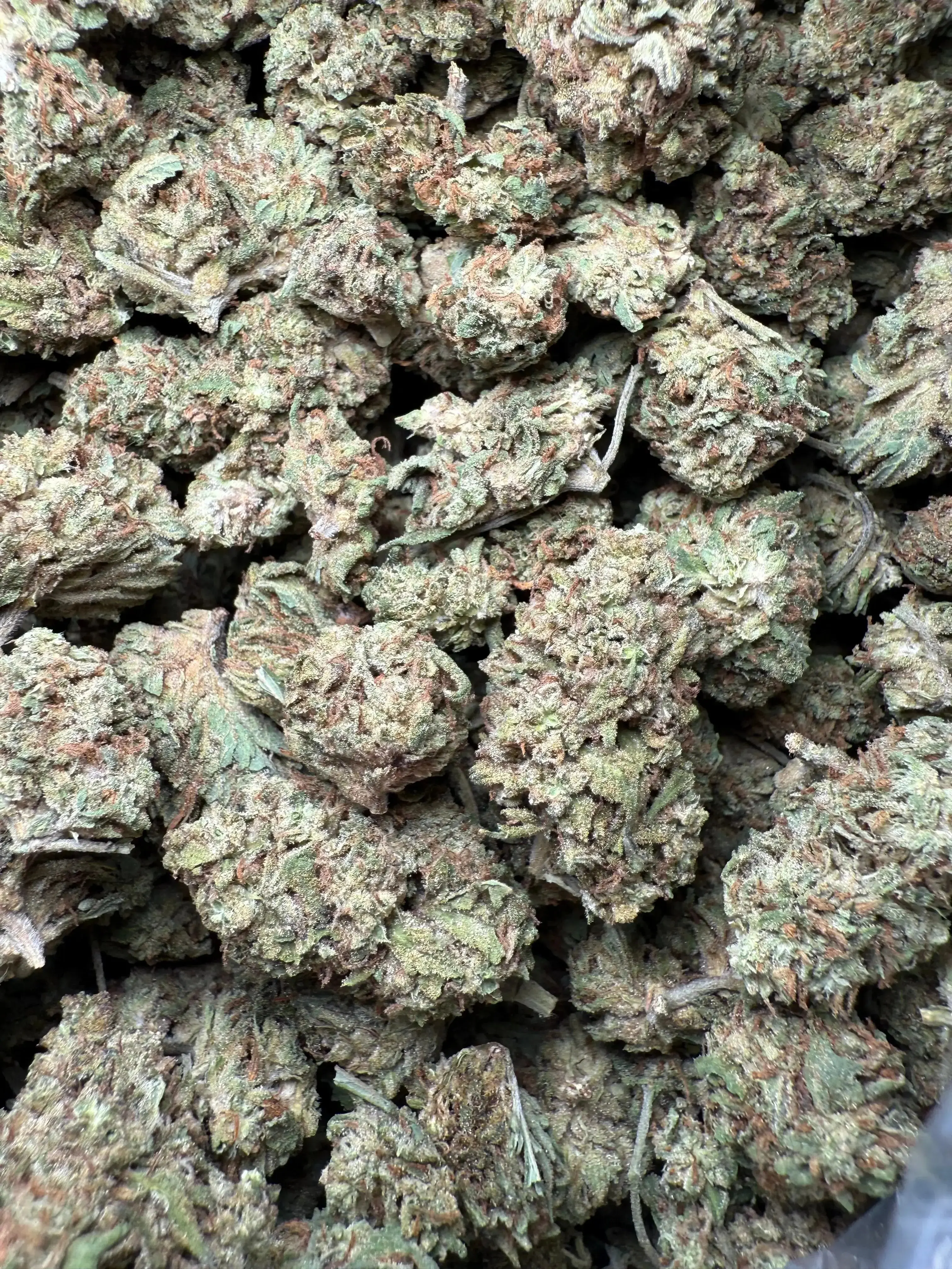 1/2 Pound Han Solo THCA - Image 3