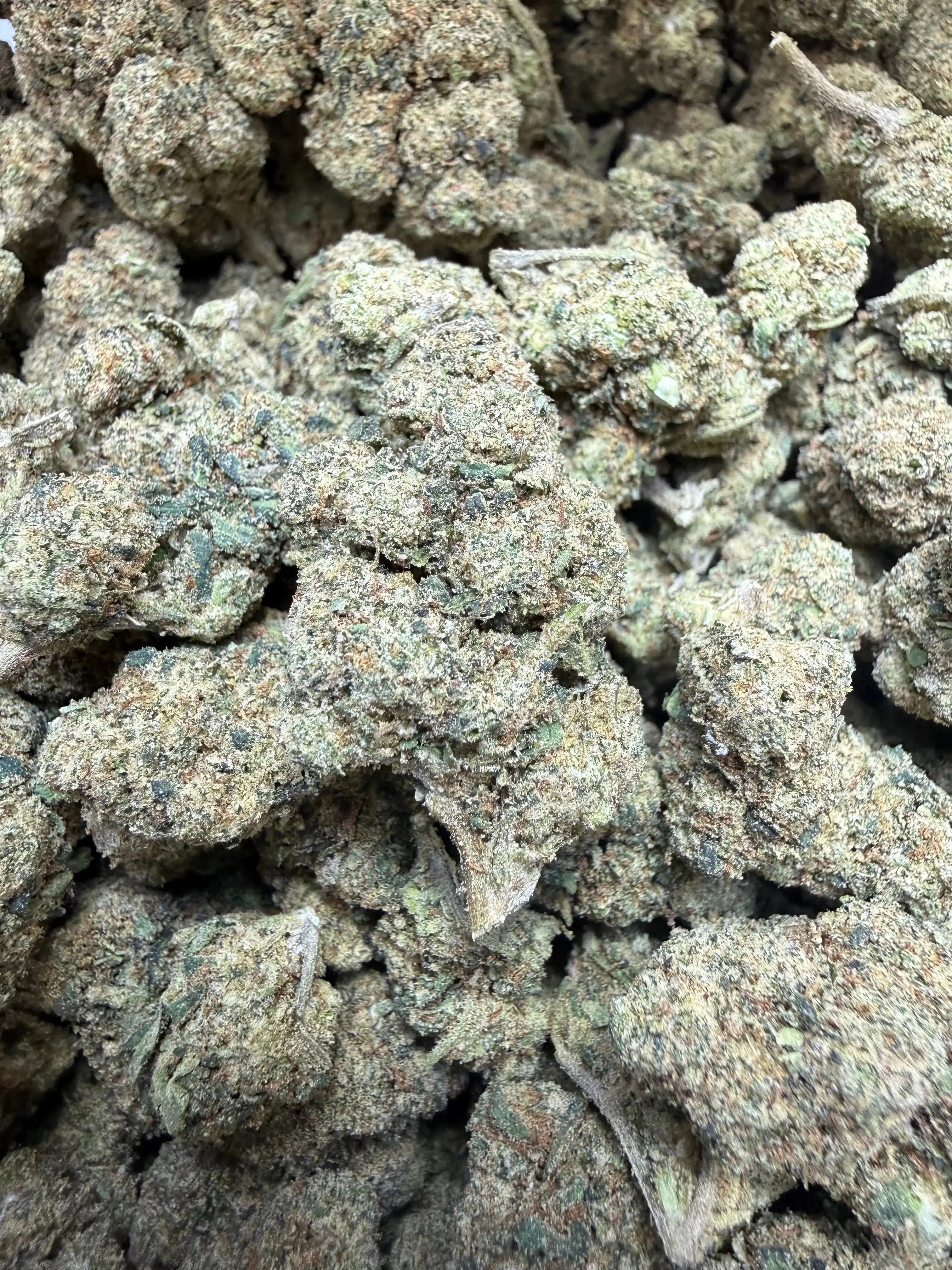 1/4 Pound Peanut Butter Souffle THCA Flower - Image 4