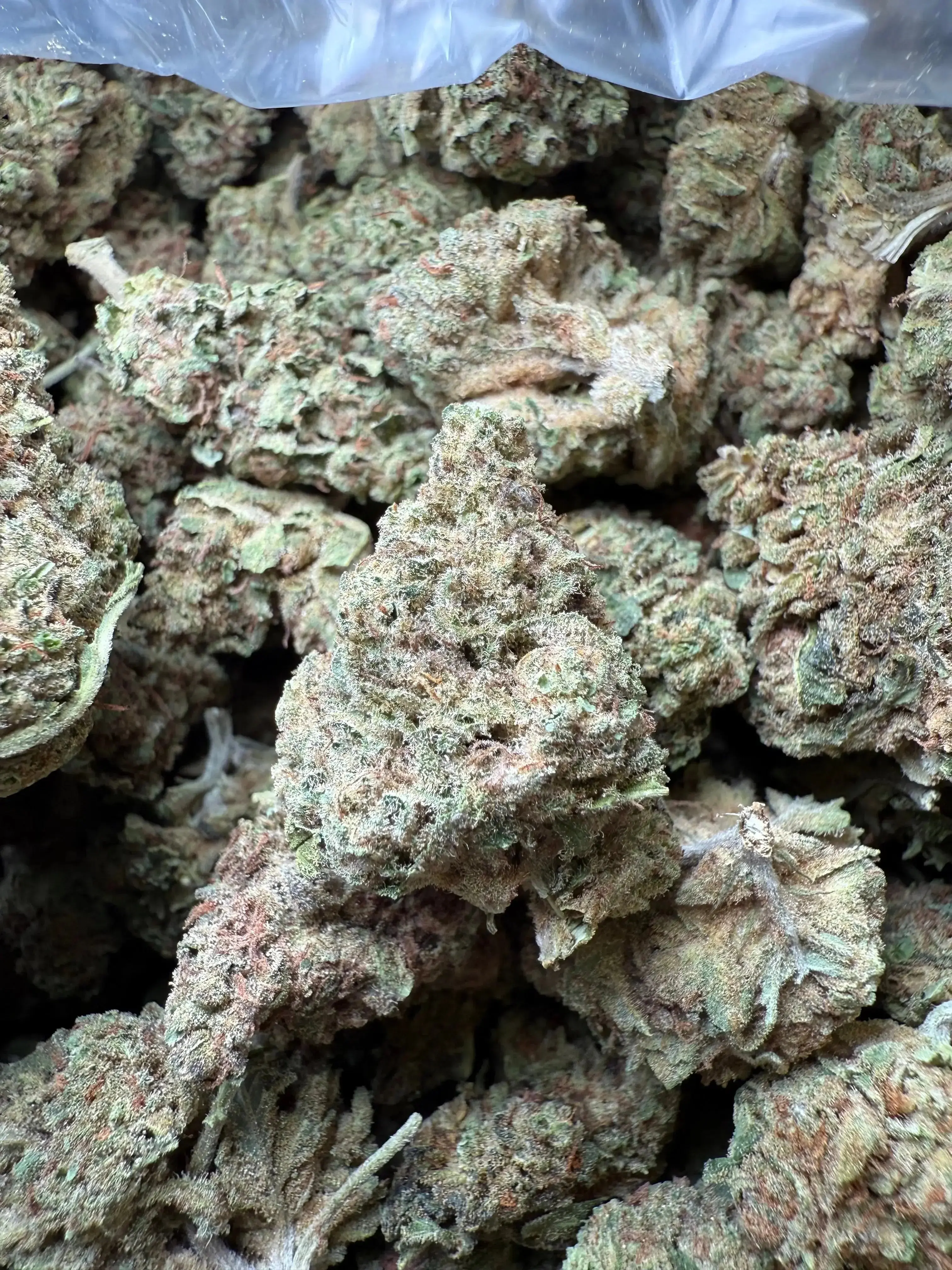 1 Pound Romulan Blueberry THCA - Image 3