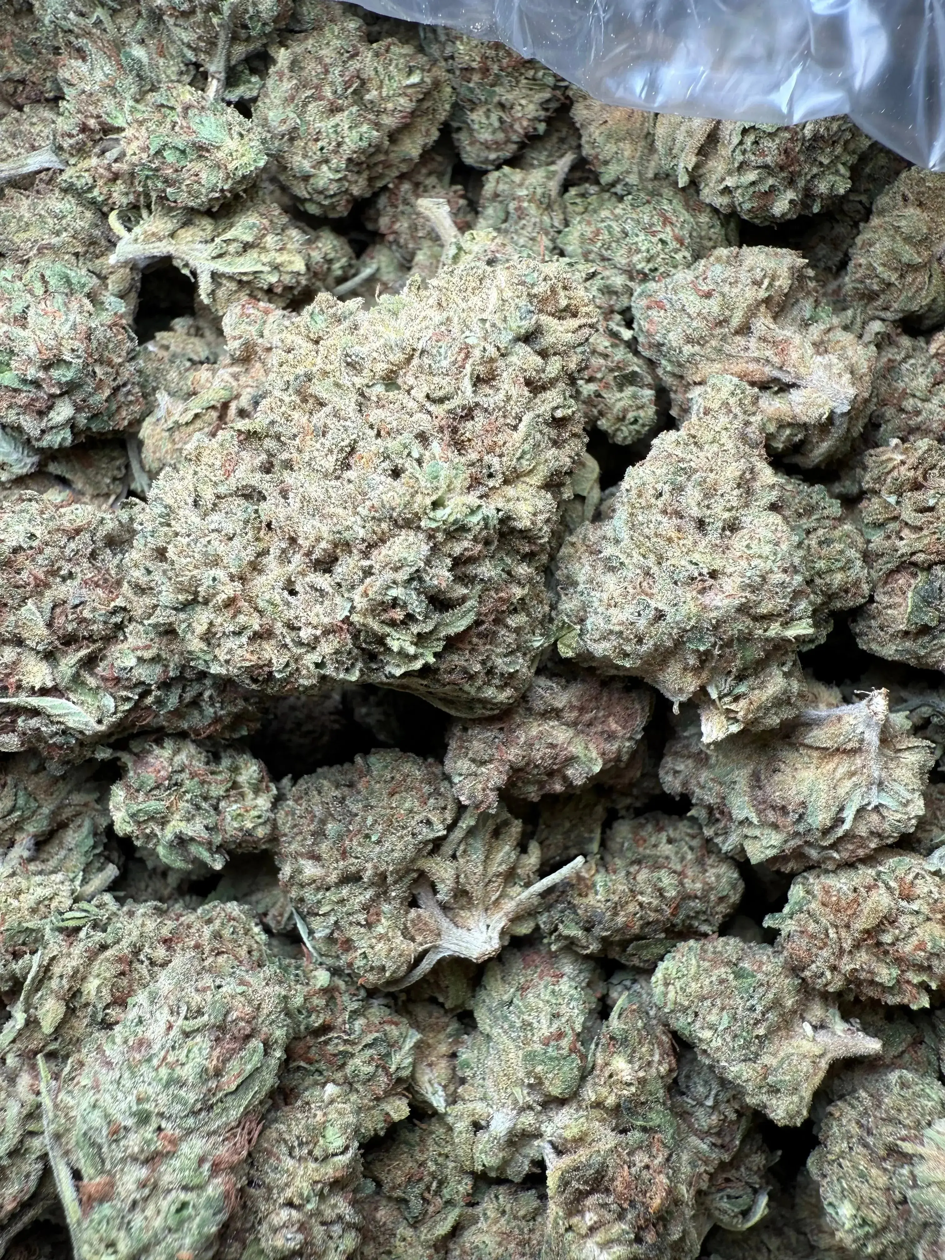 1 Pound Romulan Blueberry THCA - Image 4