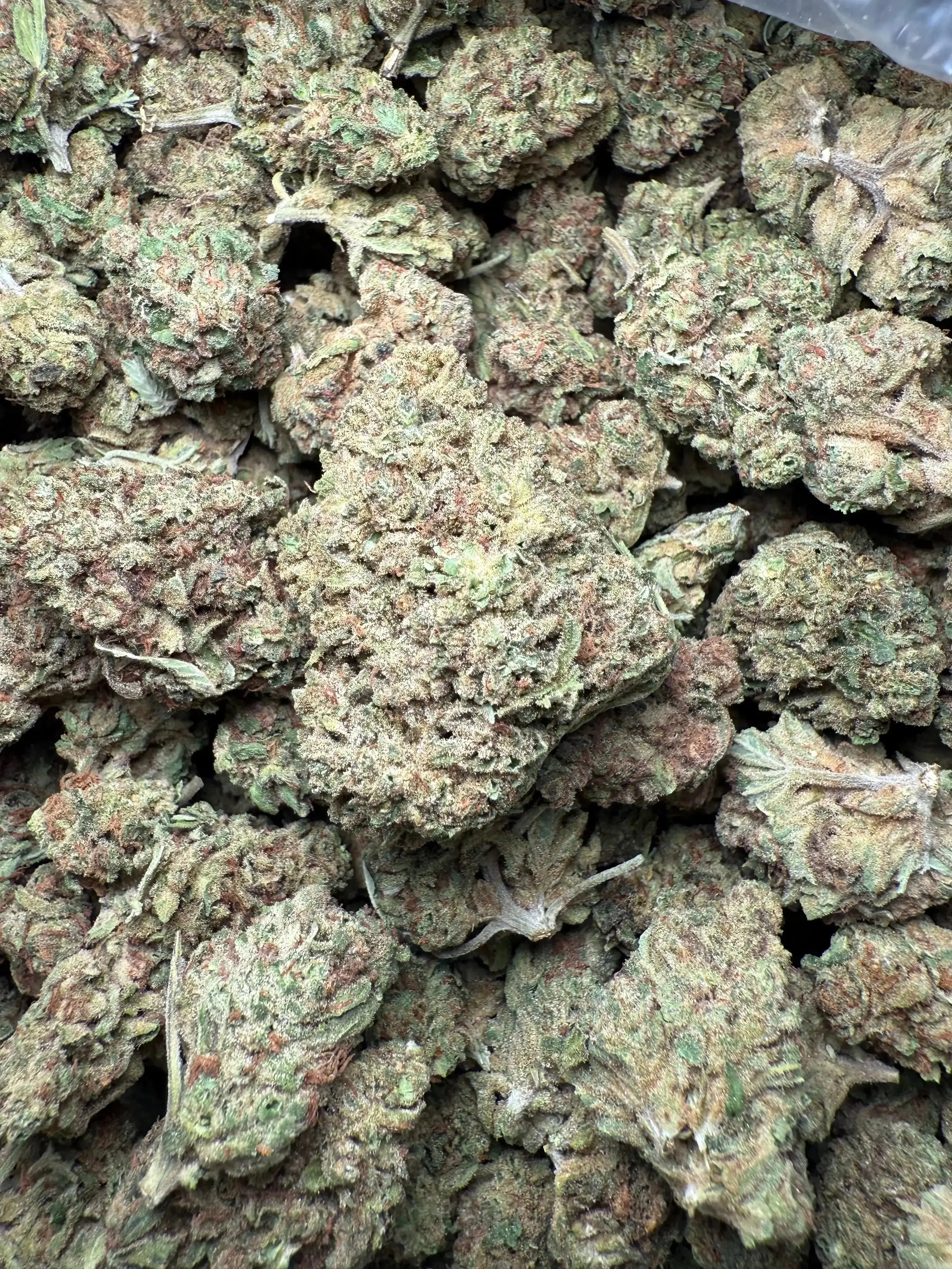 1 Pound Romulan Blueberry THCA - Image 5