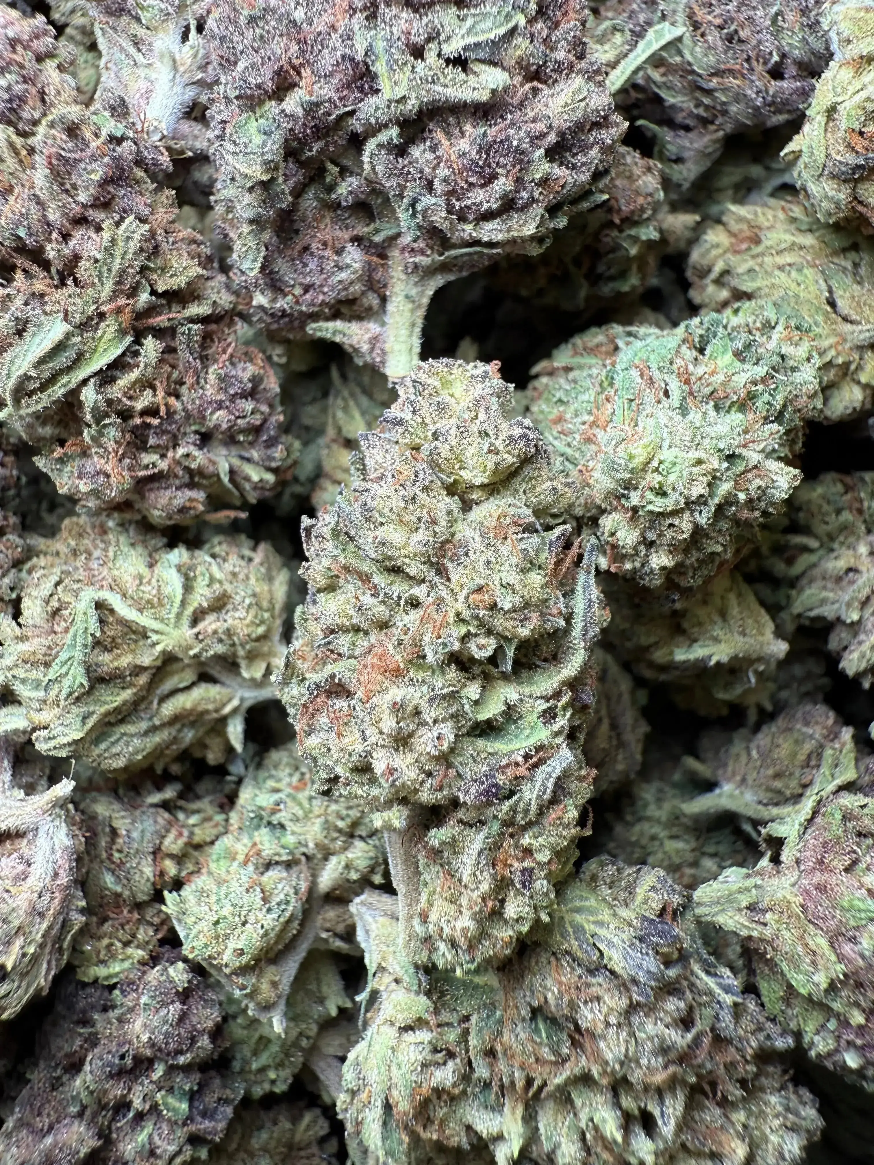 1/2 Pound Tropical Zmoothie THCA - Image 2