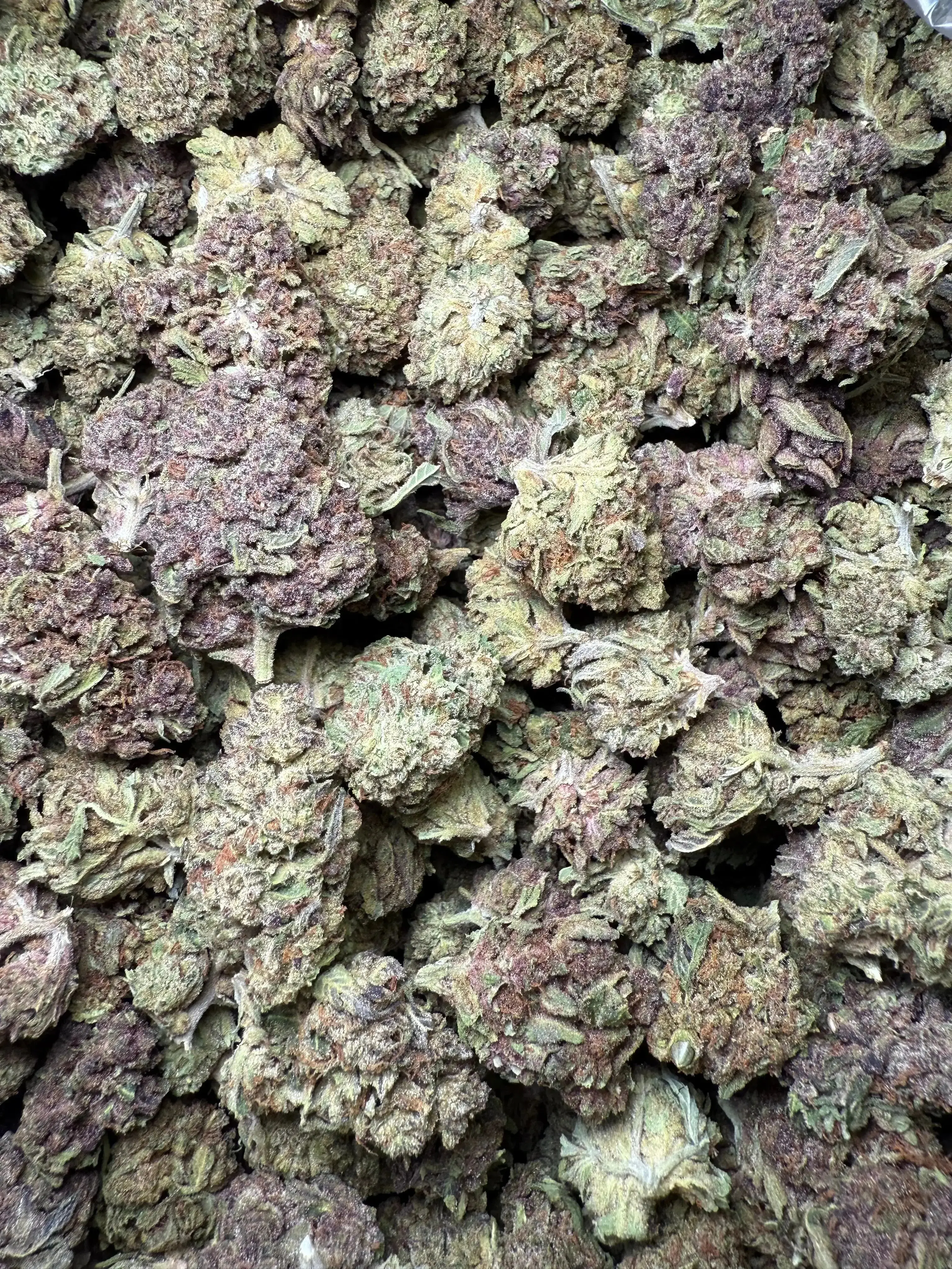1/2 Pound Tropical Zmoothie THCA - Image 3