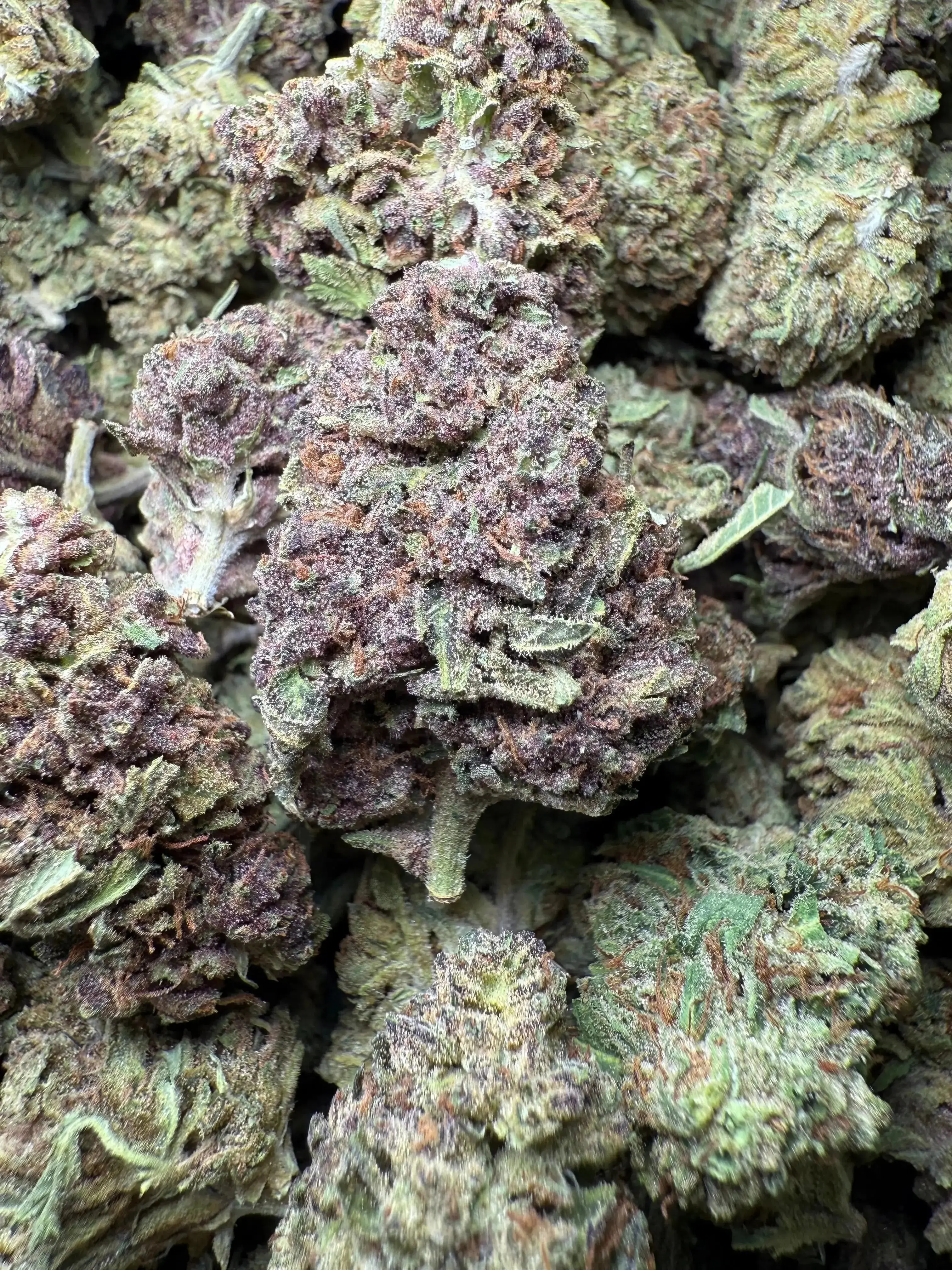 1/2 Pound Tropical Zmoothie THCA - Image 4
