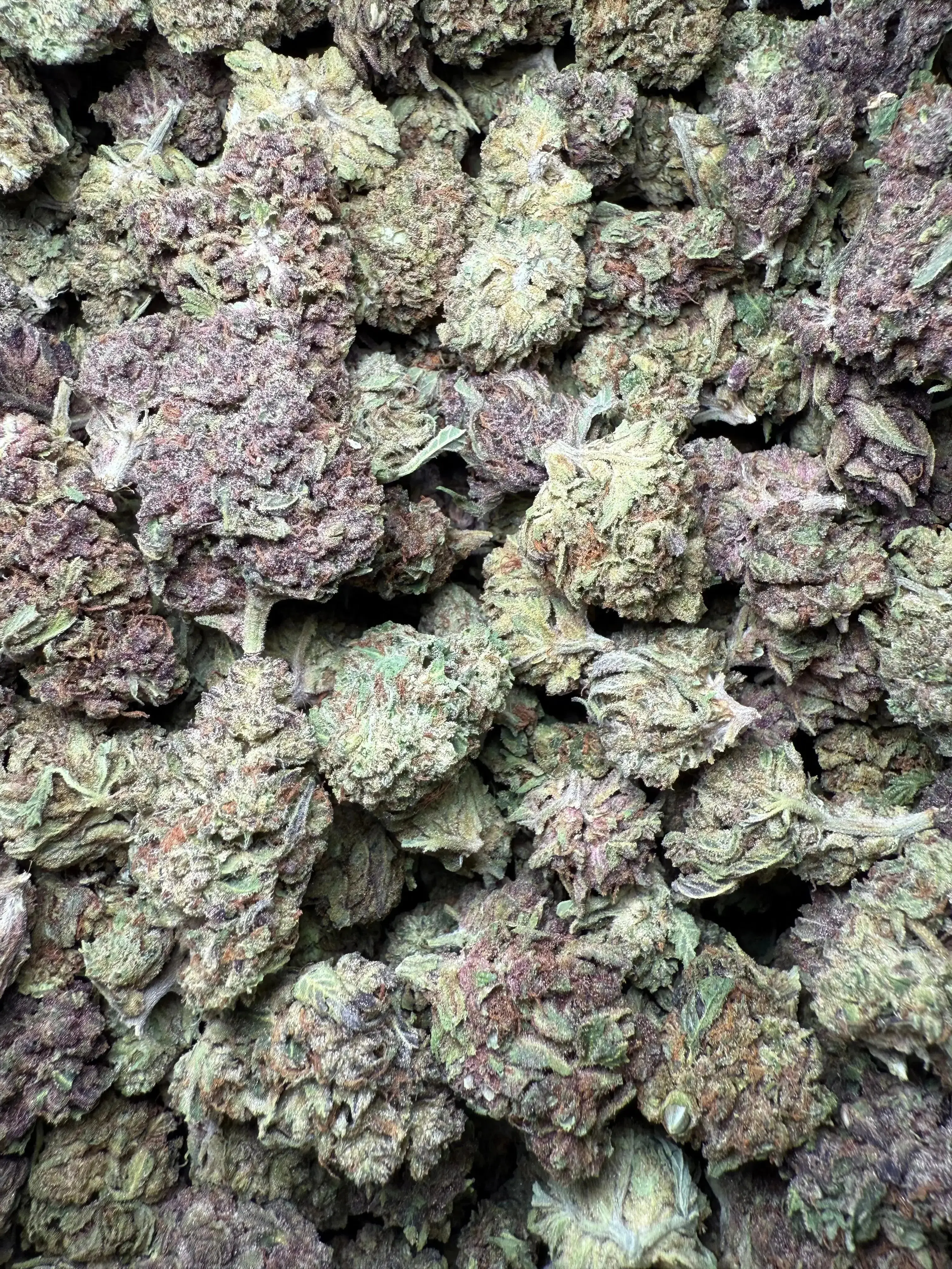 1/2 Pound Tropical Zmoothie THCA - Image 5