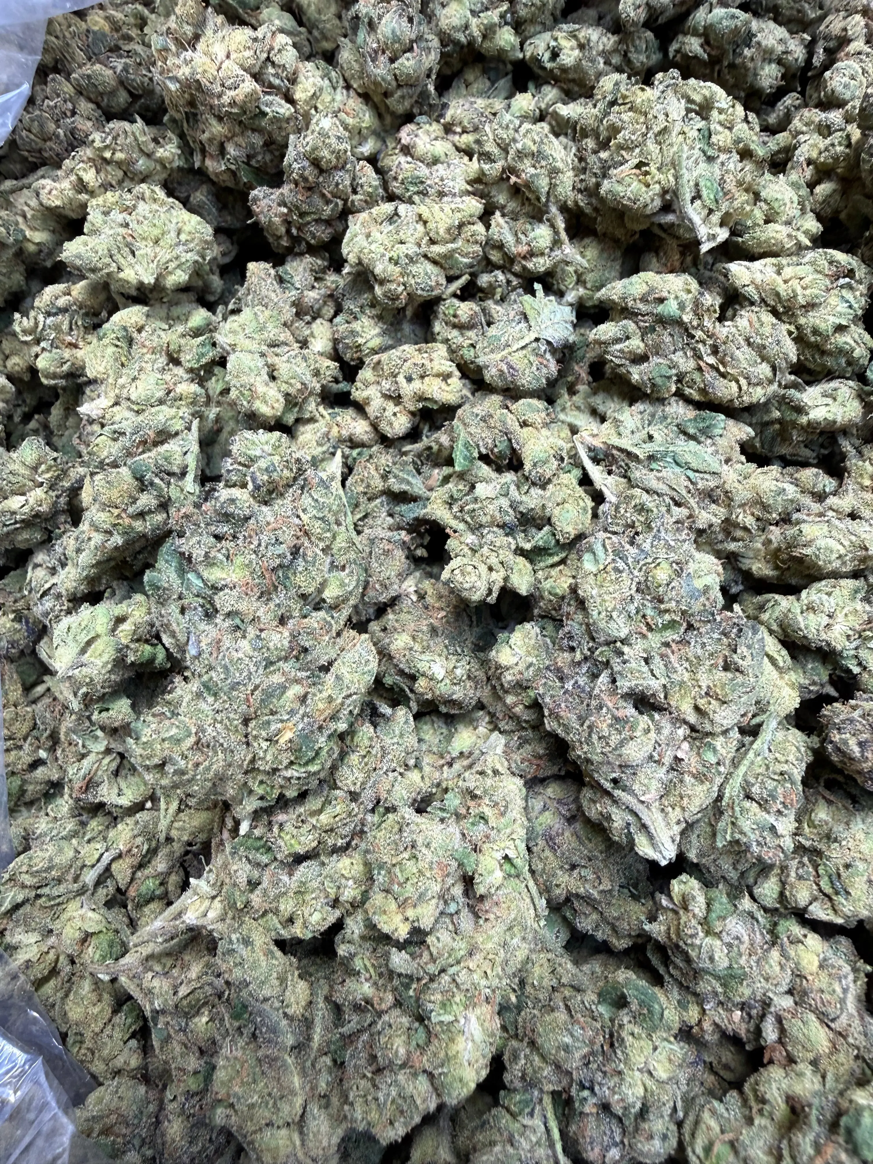 1 oz. - Chimera THCA Strain - Image 3