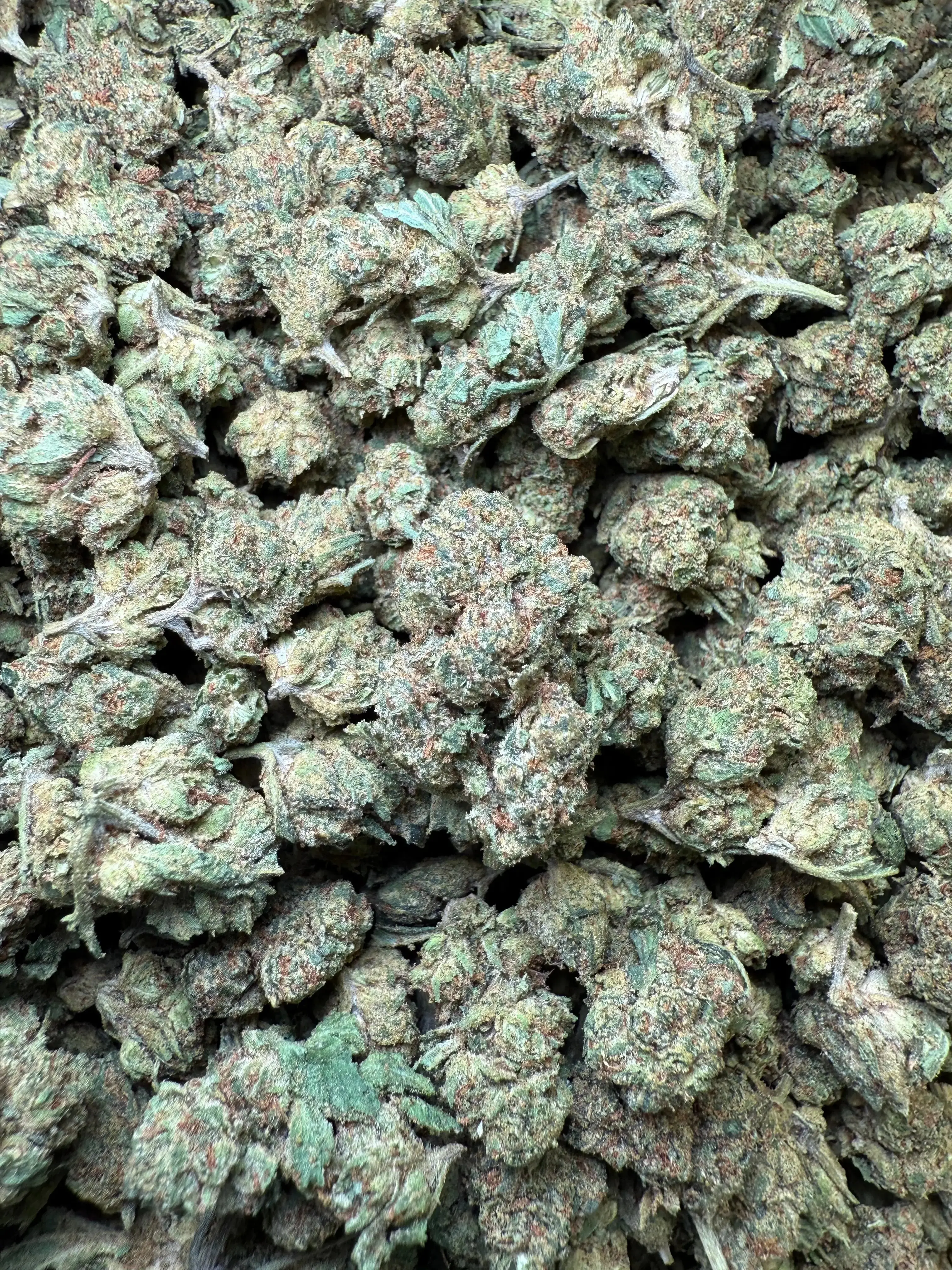 1 Oz - Frozen Lemons THCA Strain (Smalls) - Image 4