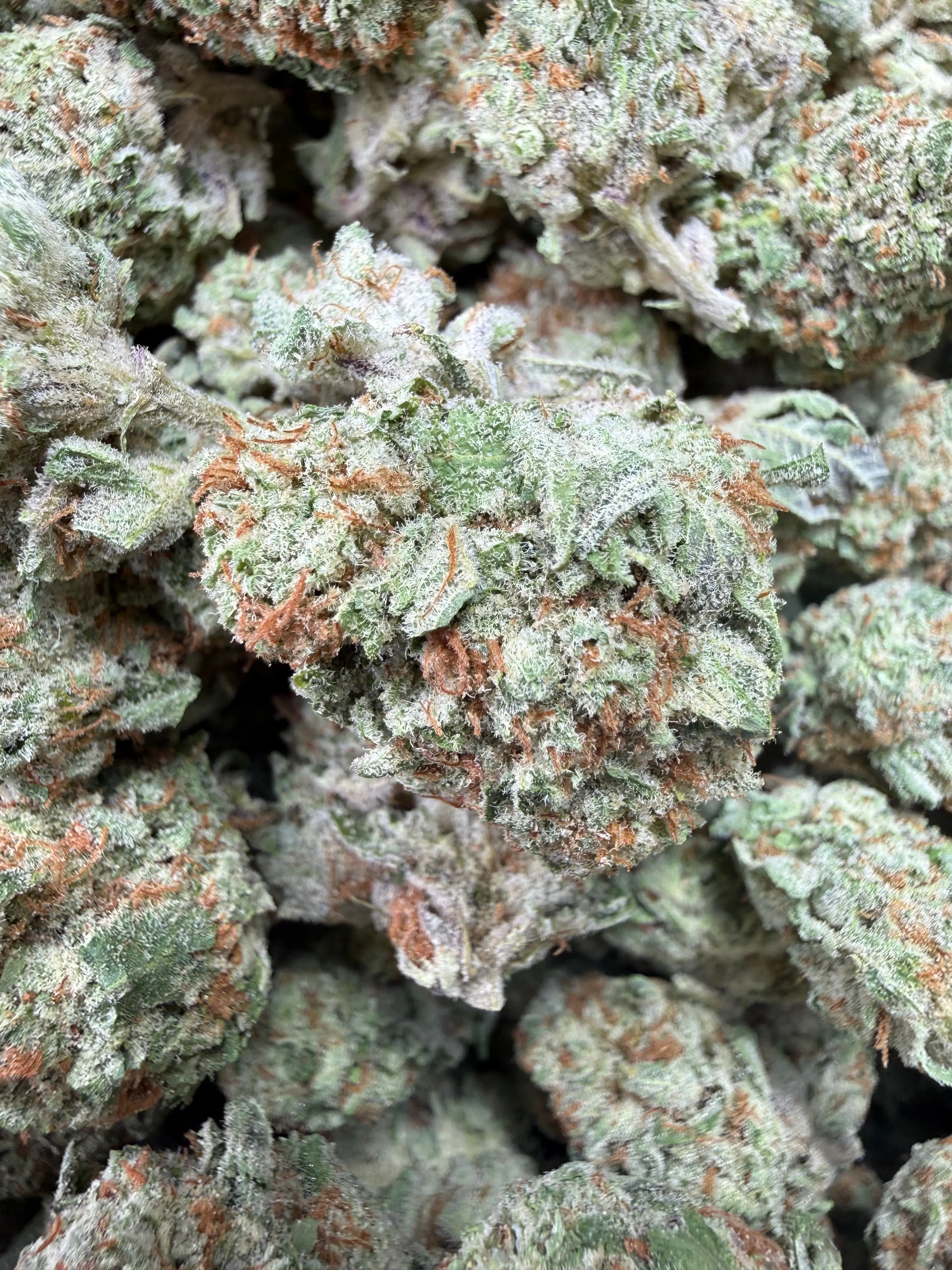 1/2 Pound Mango Tango THCA Flower - Image 4