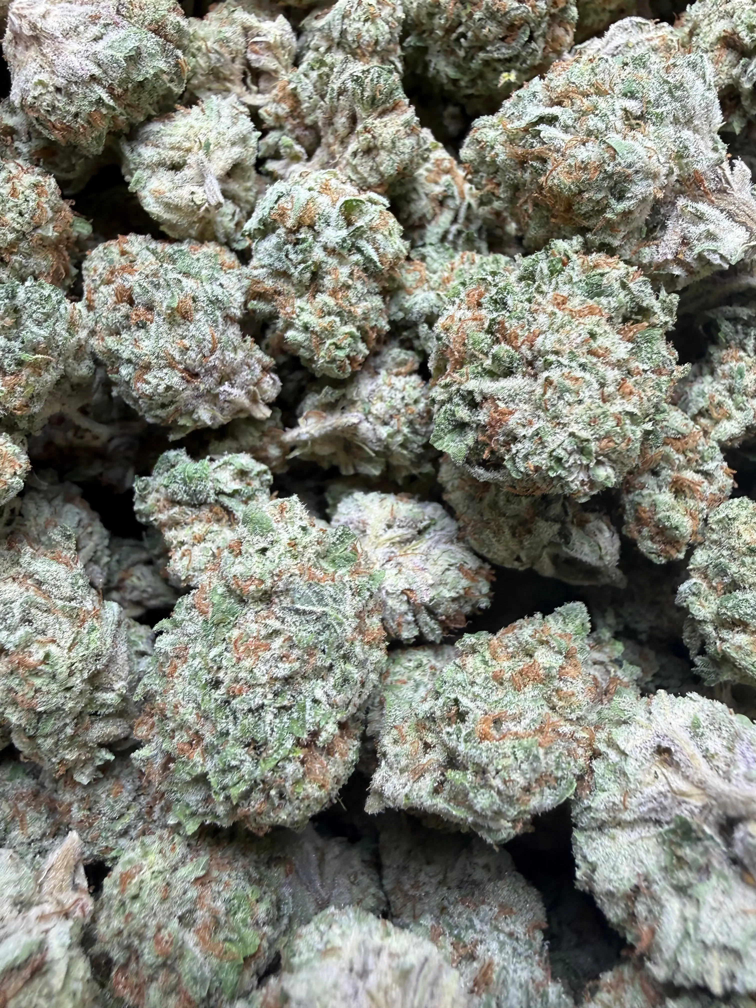 1/2 Pound Mango Tango THCA Flower - Image 6