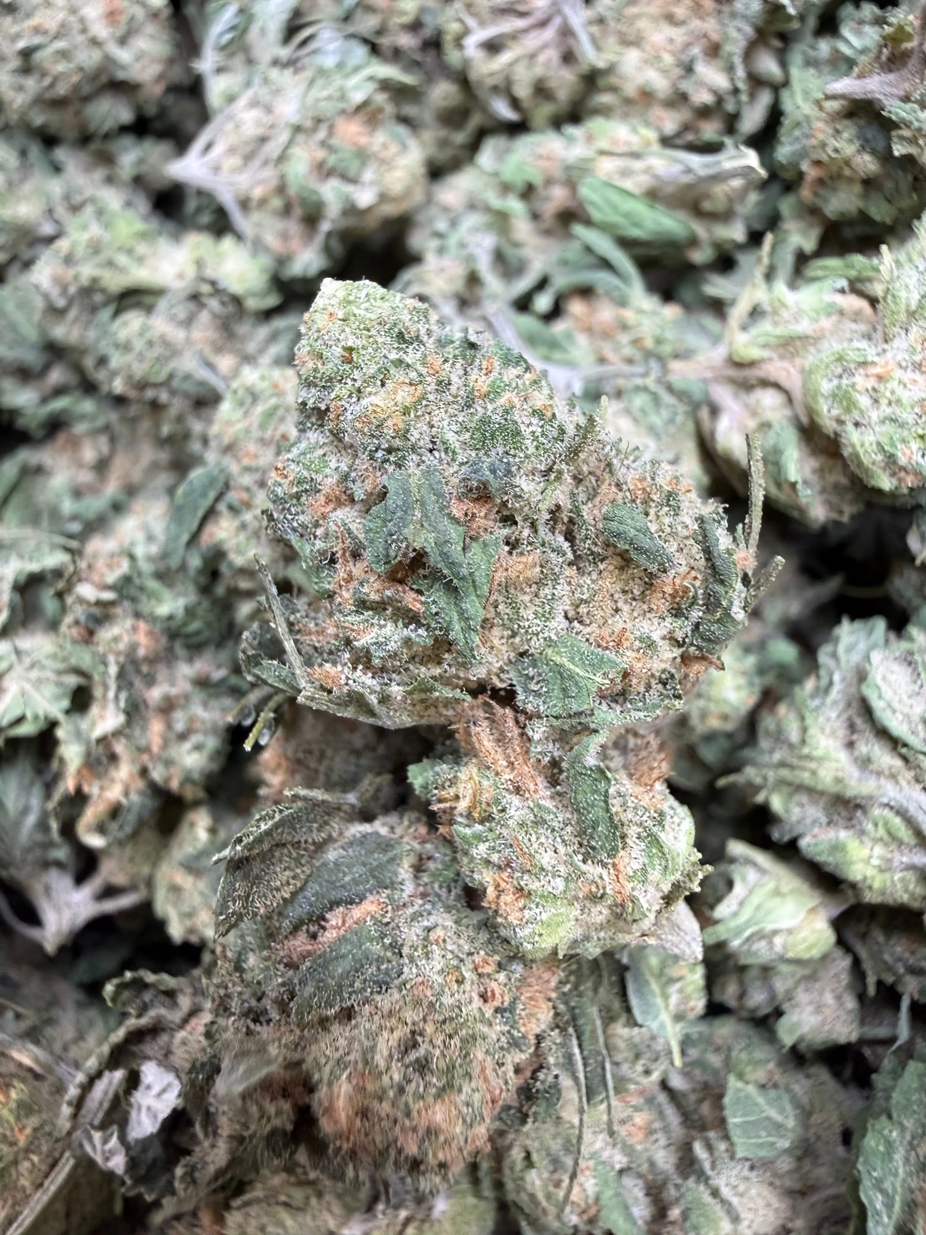 1 Pound Blue Nerds (Small) - Image 3