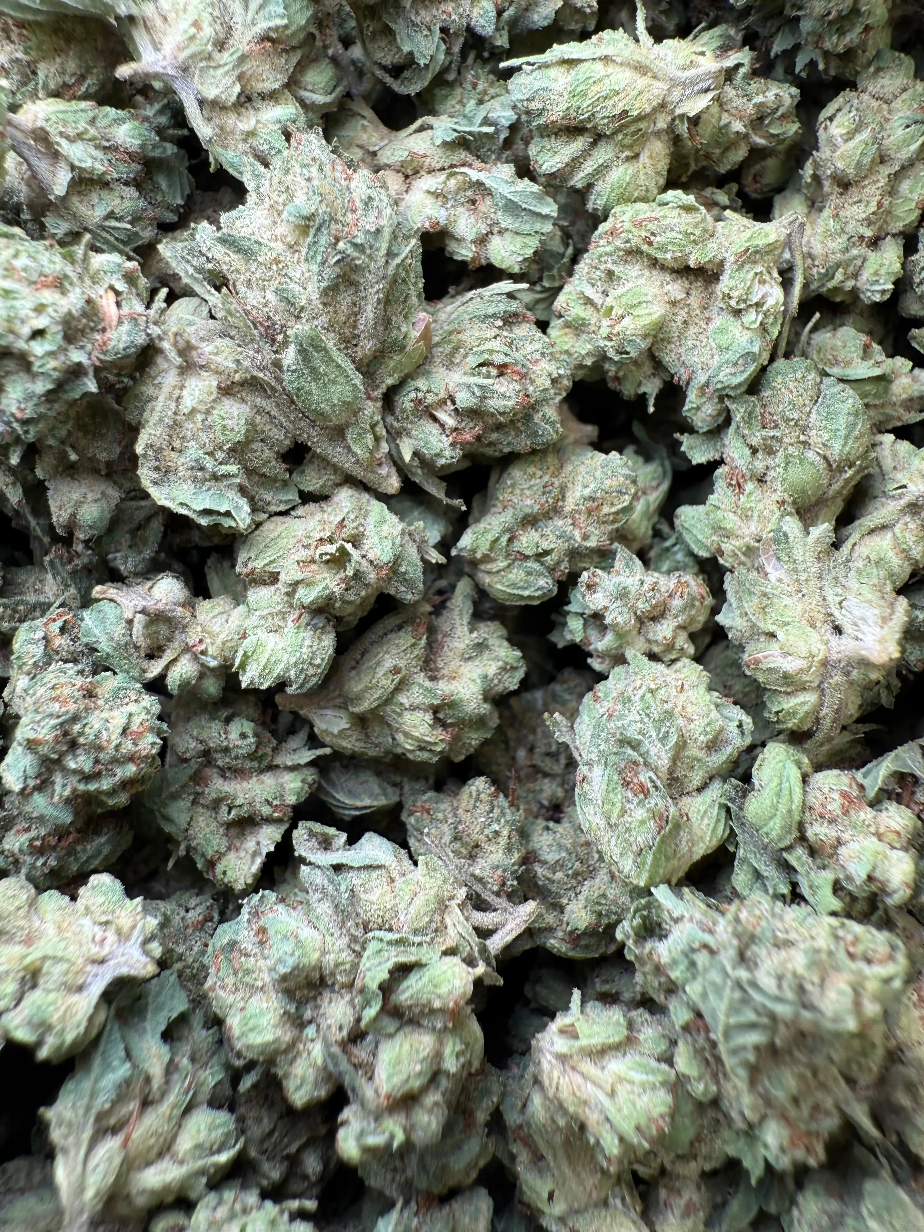 1 Pound - Chem OG (Small) - Image 6