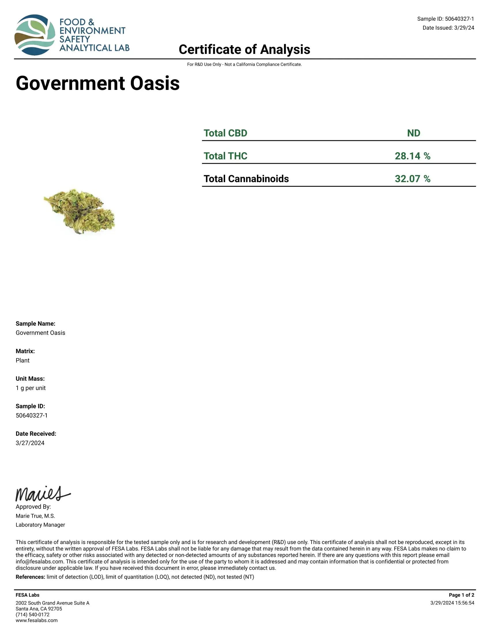 1 Pound - AAA Indoor Exotic - GovernMint Oasis THCA Strain - Image 4