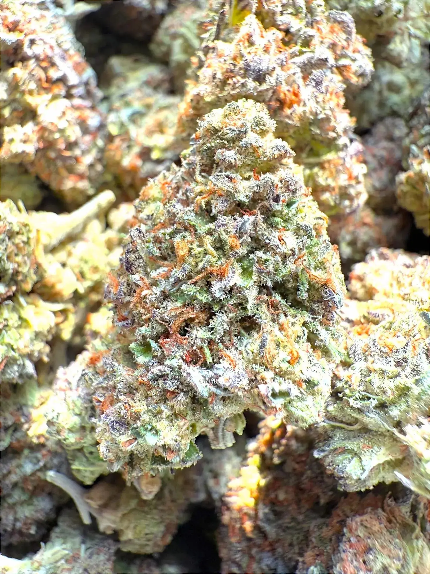 1 oz. - Pinnacle THCA Flower Strain(small) - Image 2
