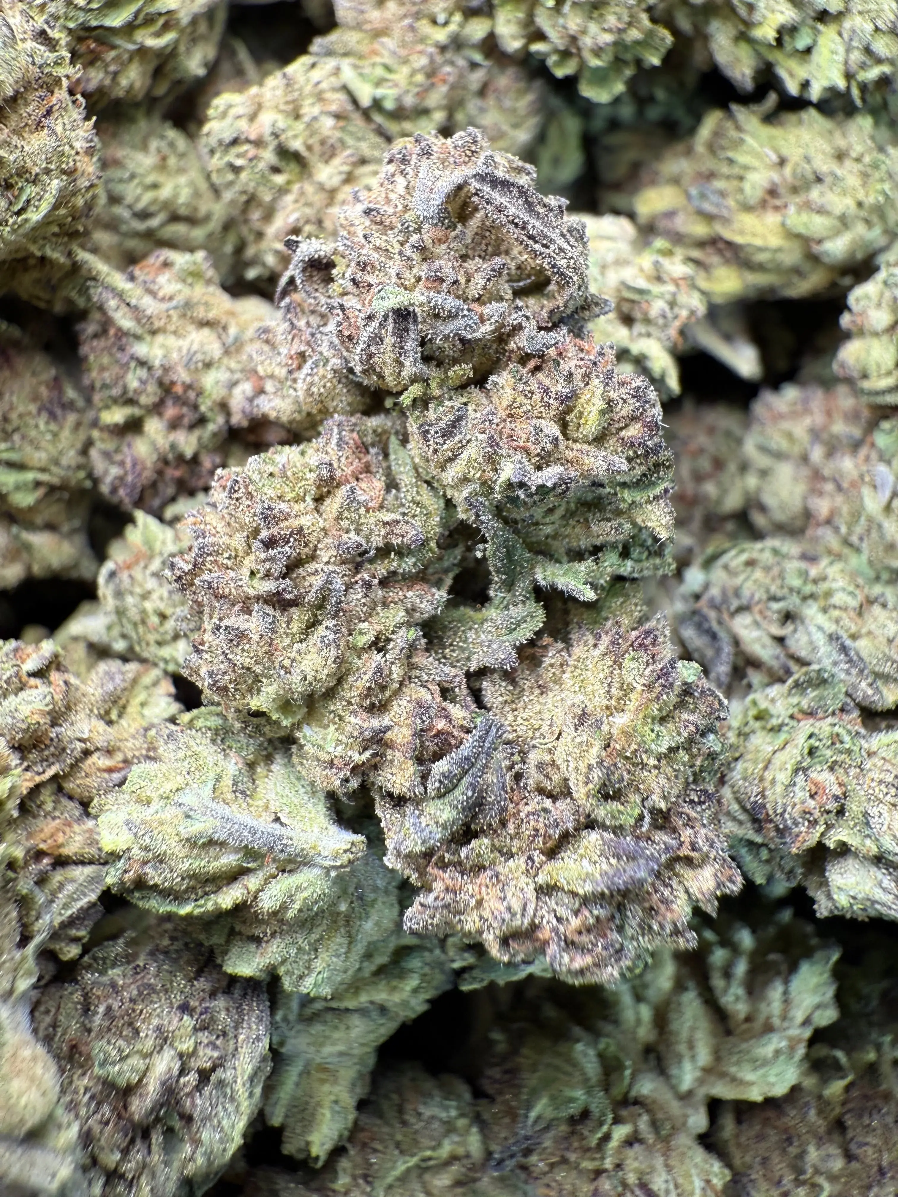1 Pound - BCC Jealousy Strain THCA - Image 3
