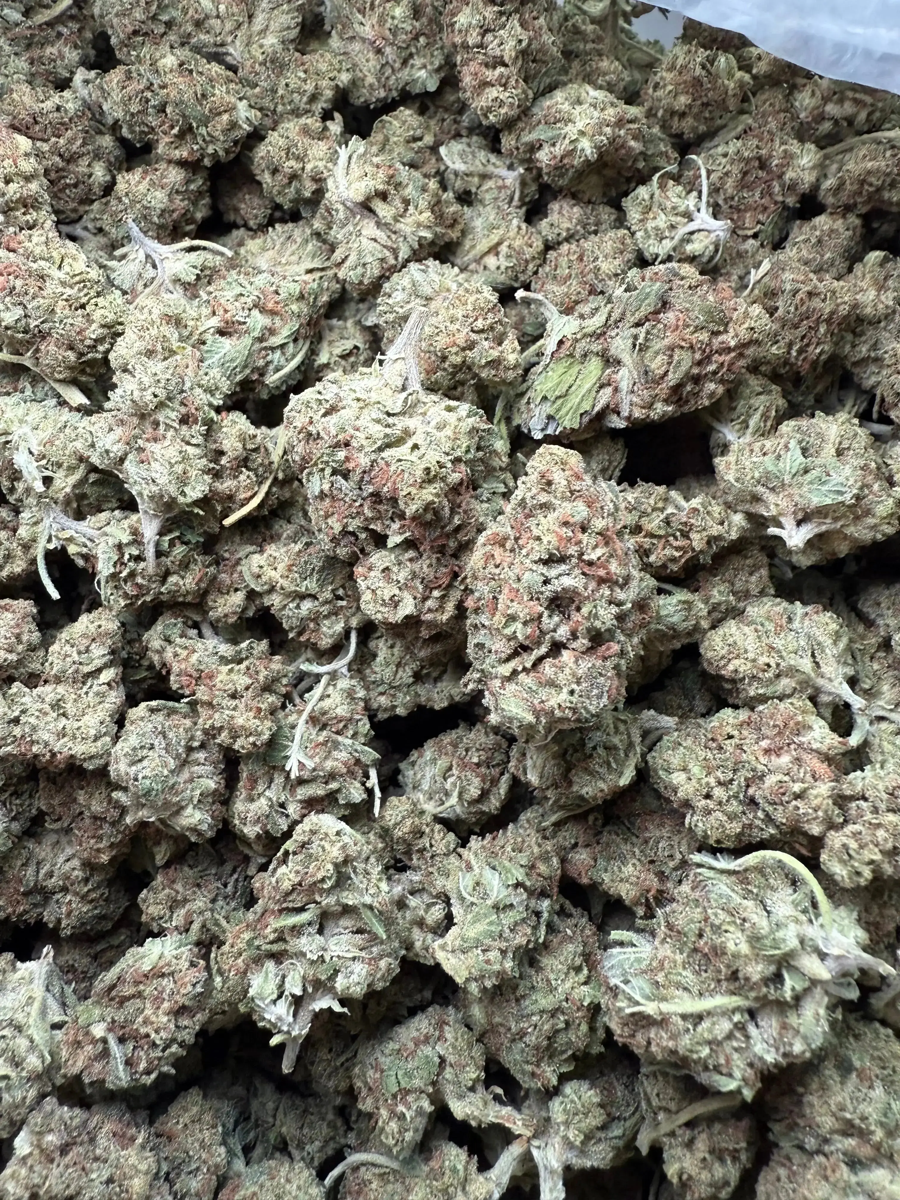 1 Pound Black Bananas THCA - Image 2