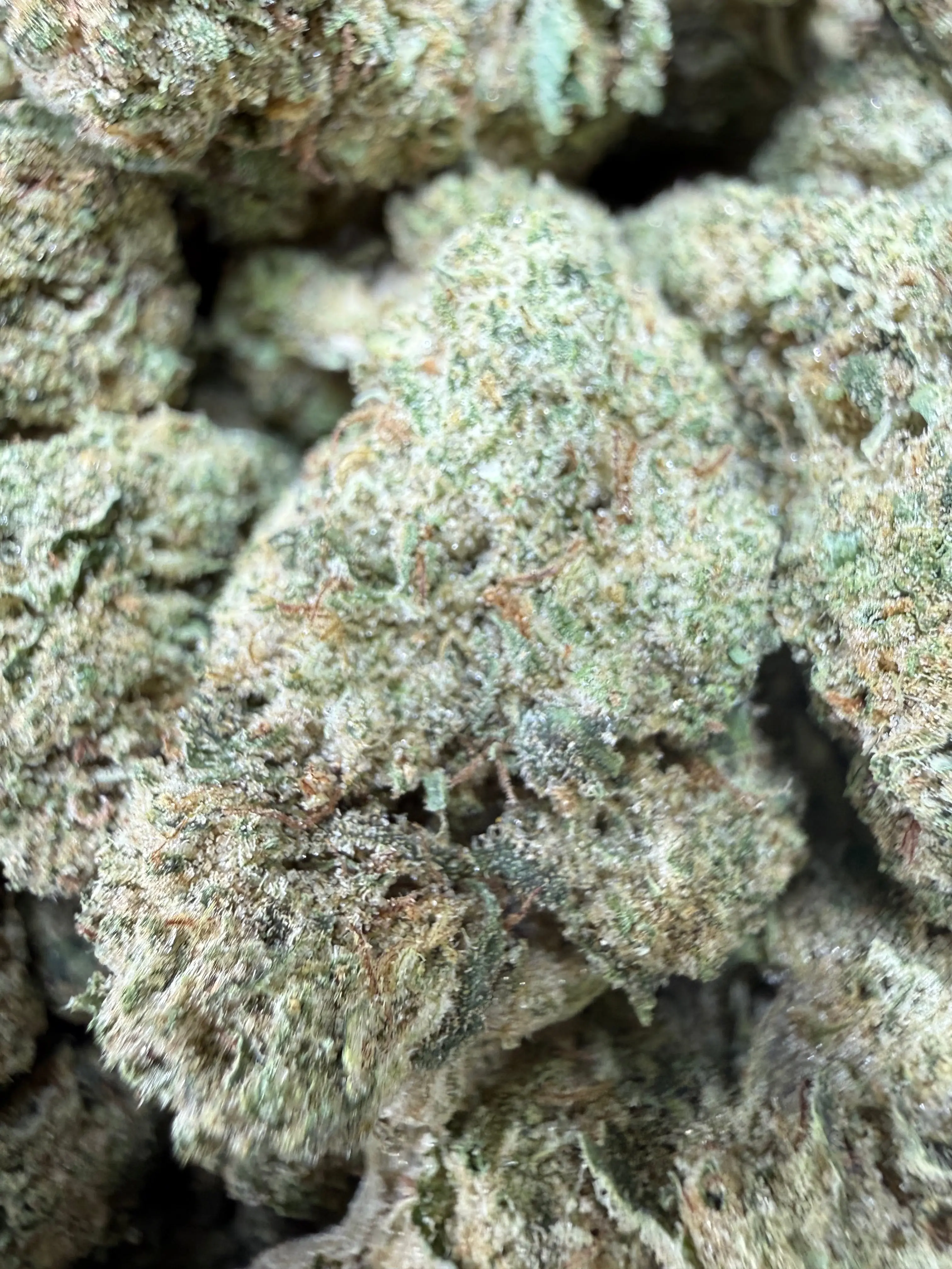 1 Pound - Blue Dream THCA Strain