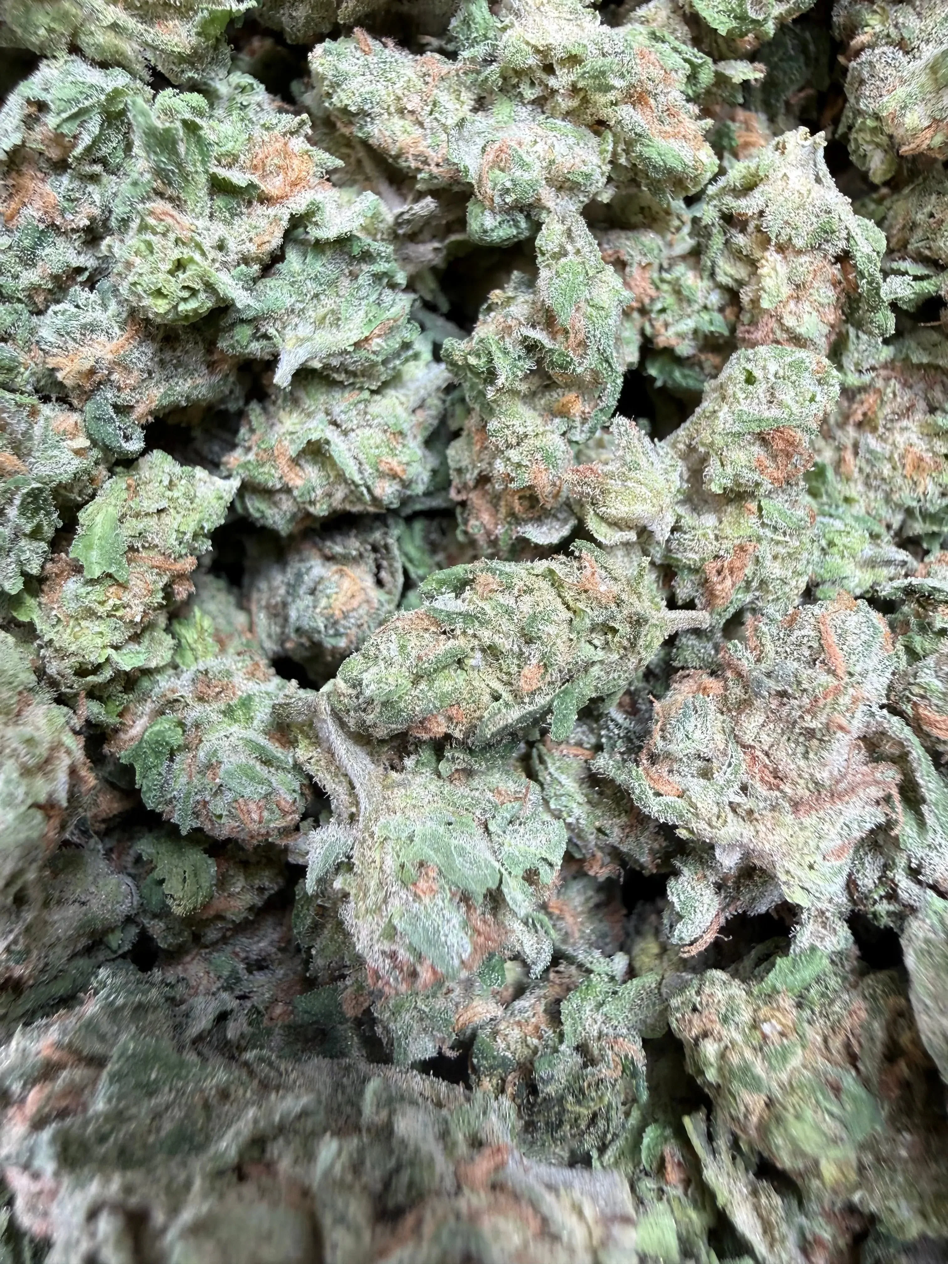1 Pound -  Blue Dream THCA Strain (Small) - Image 3