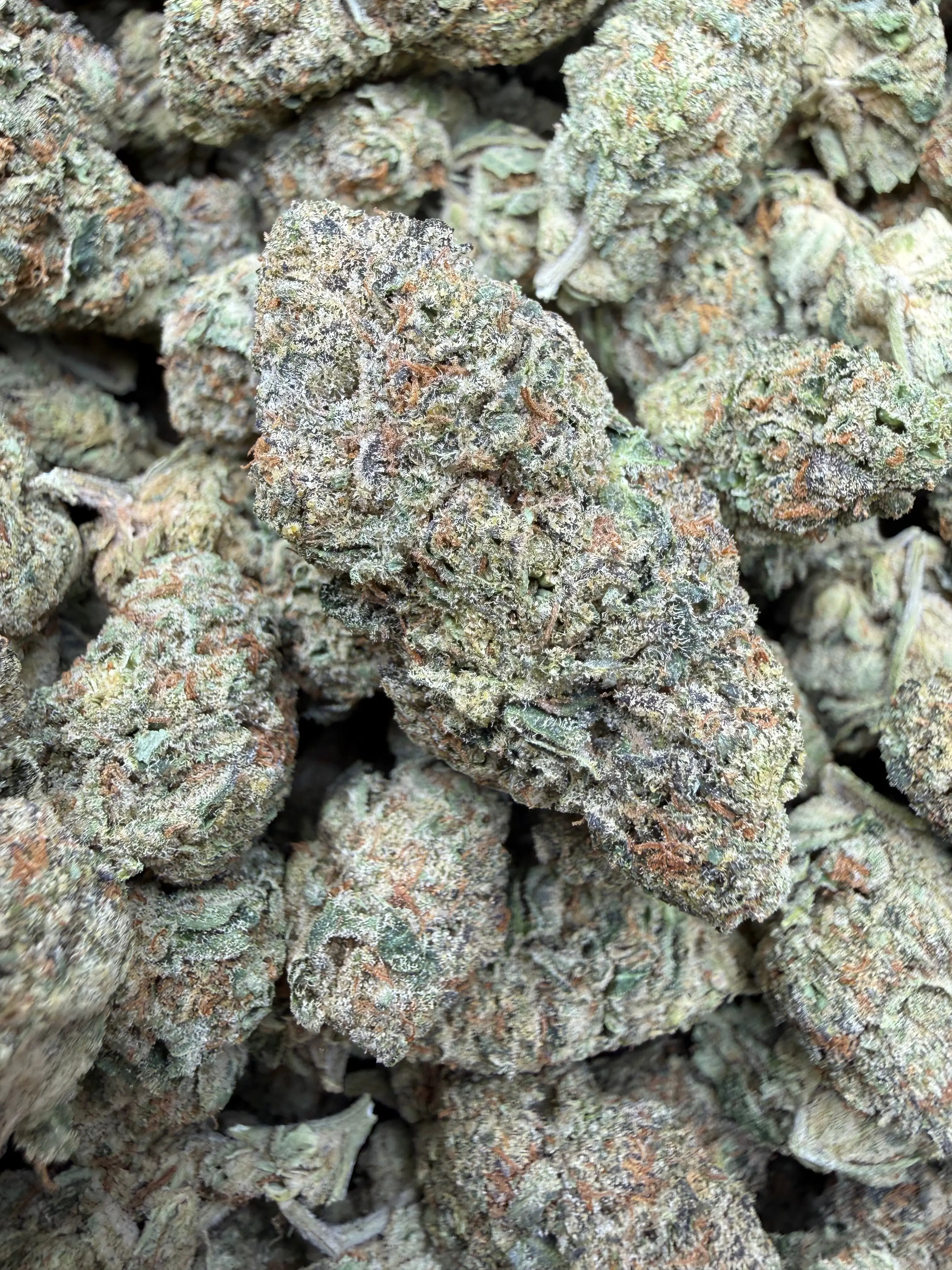 1 Pound - Blue Slurpee THCA Flower