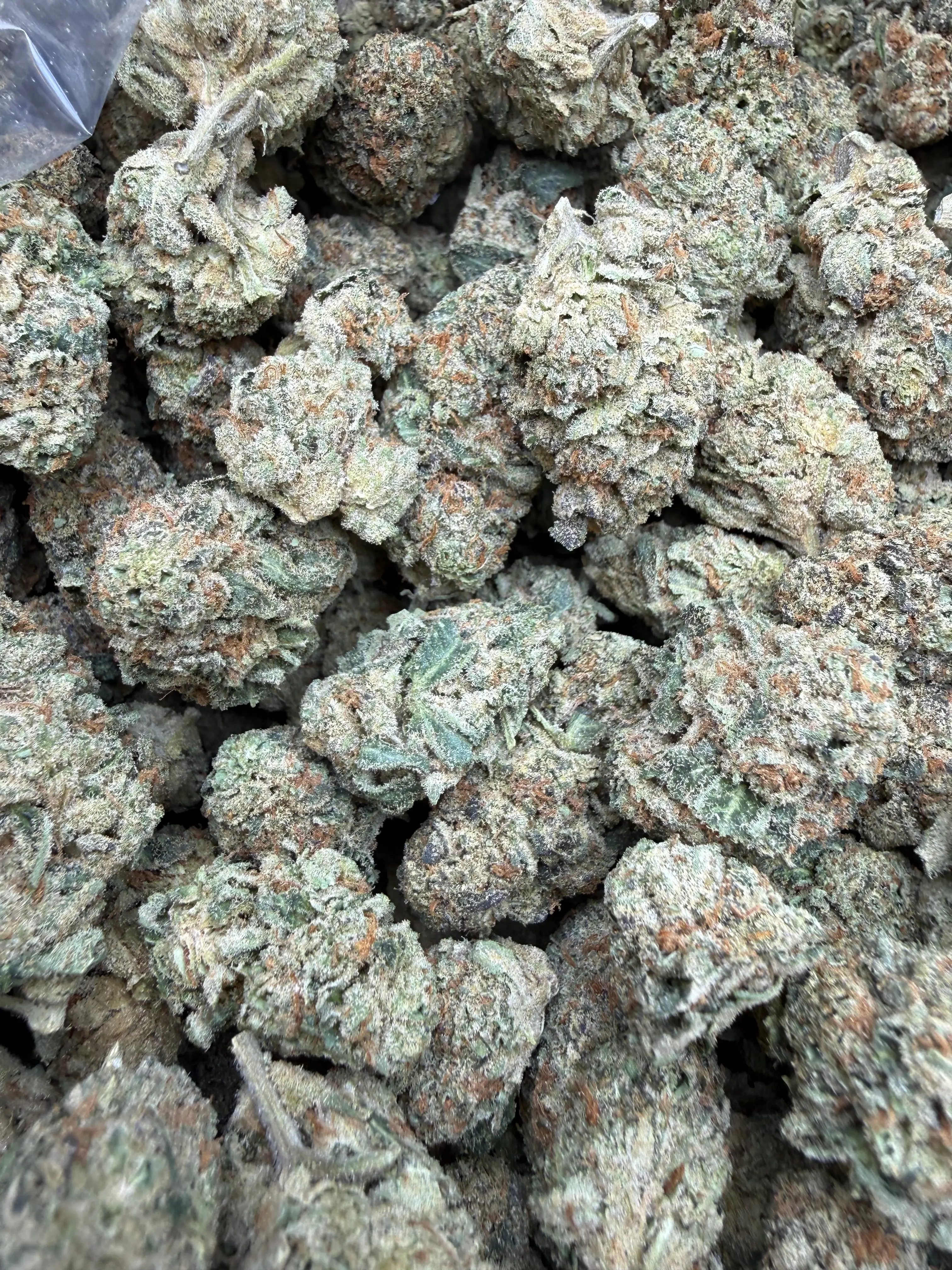 1 Pound - Blue Slurpee THCA Flower - Image 3