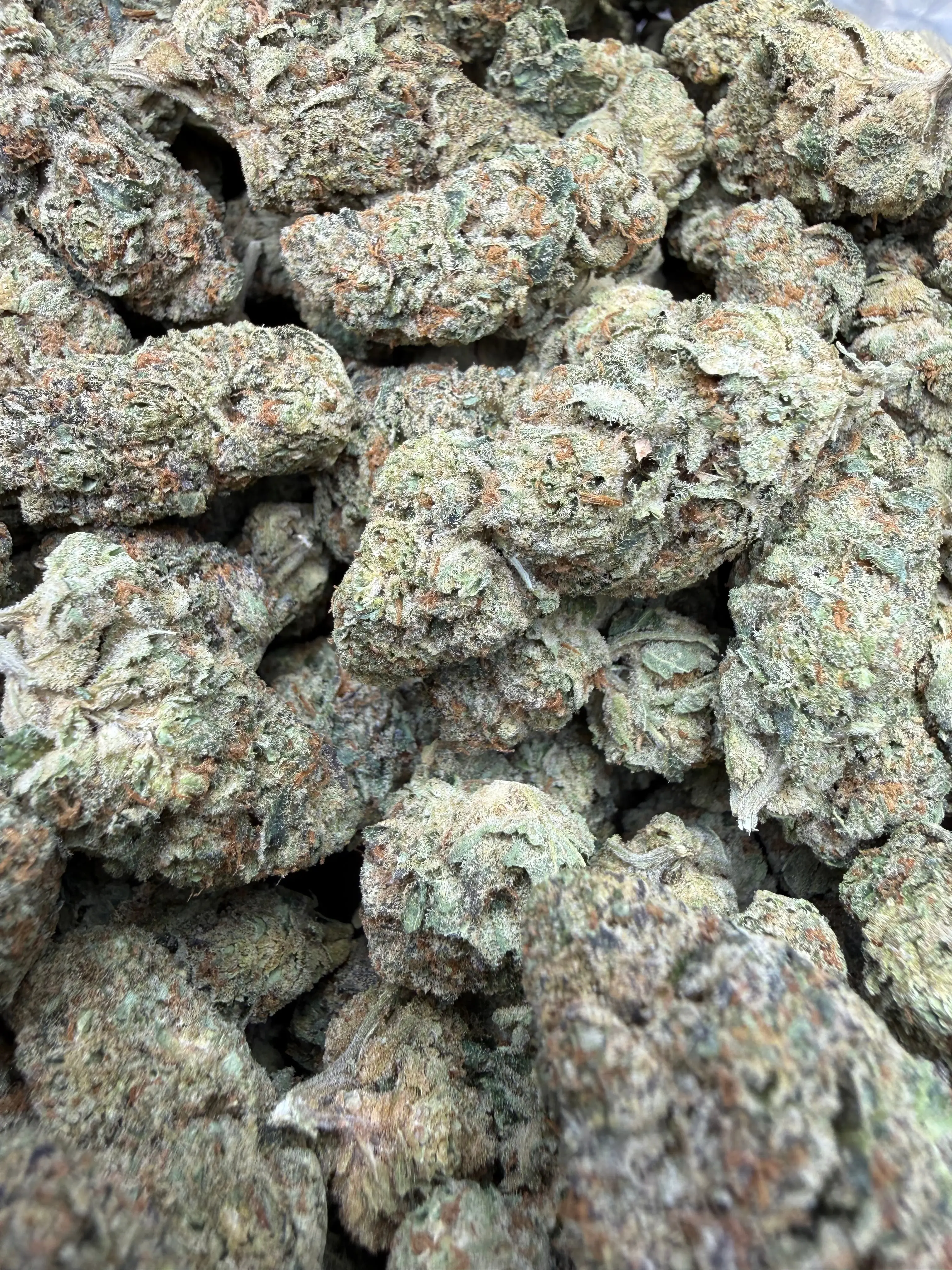 1 Pound - Blue Slurpee THCA Flower - Image 4