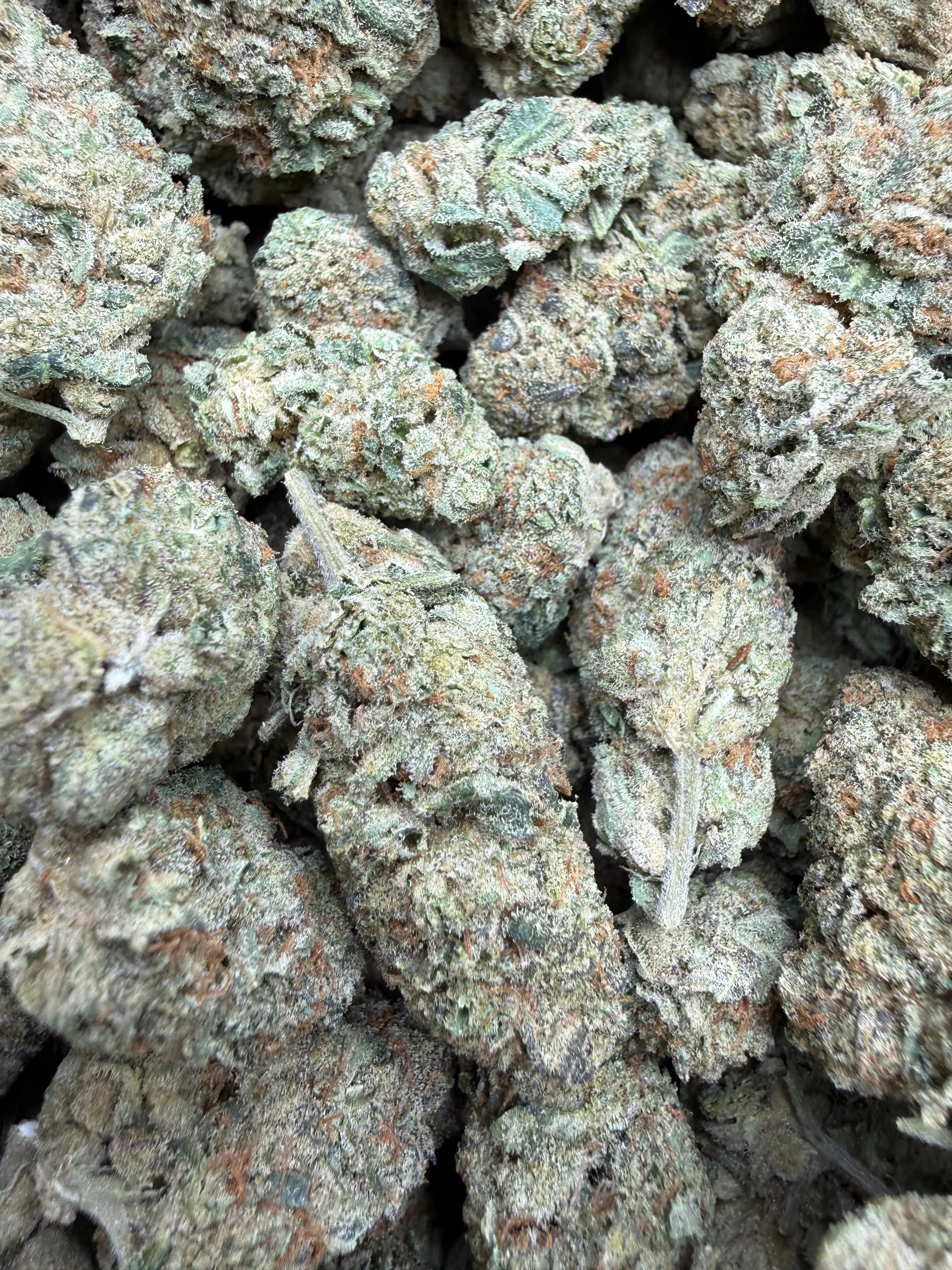 1 Pound - Blue Slurpee THCA Flower - Image 5